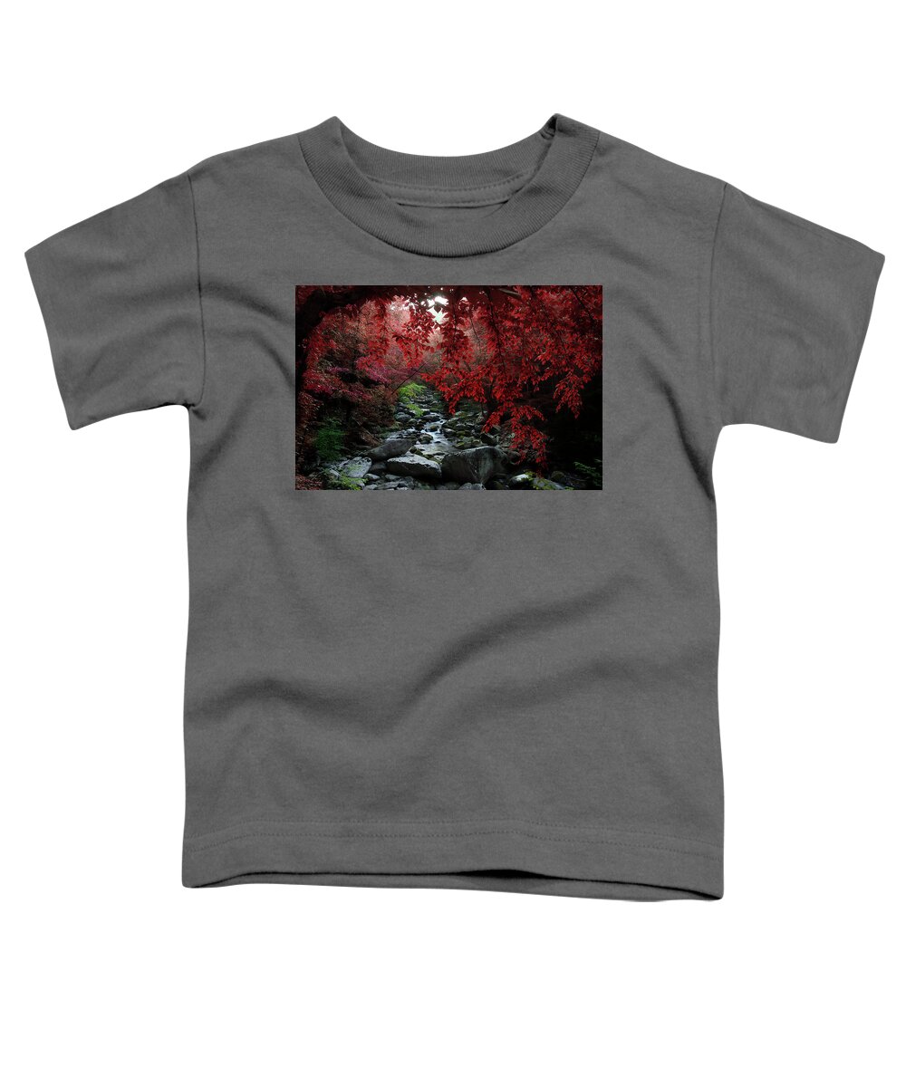 Smoky Mountain Stream Toddler T-Shirt featuring the photograph Let's Dream Together by Mike Eingle
