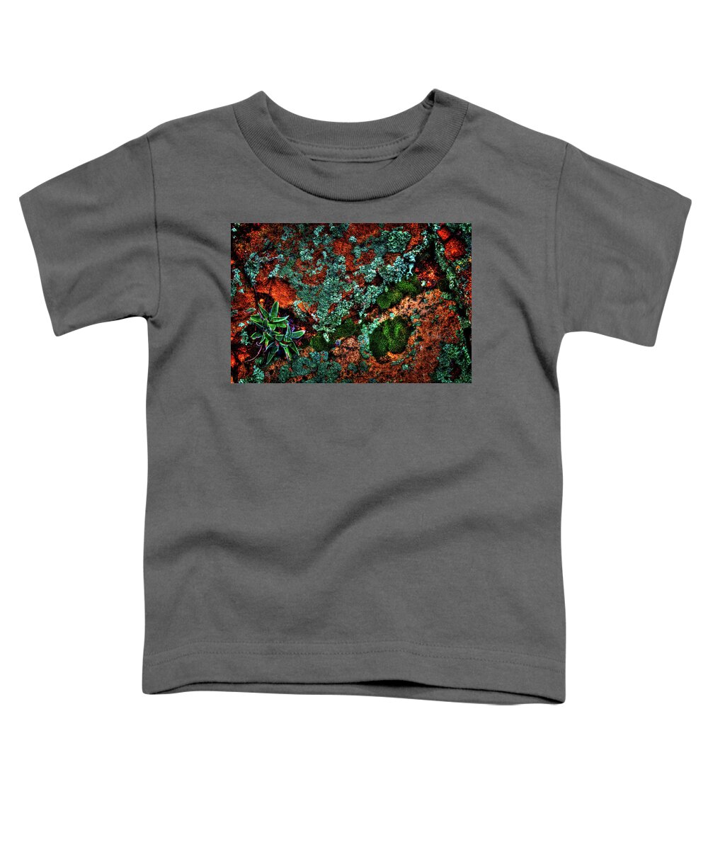 Arizona Toddler T-Shirt featuring the photograph Lichen, Moss and Desert Sage by Roger Passman