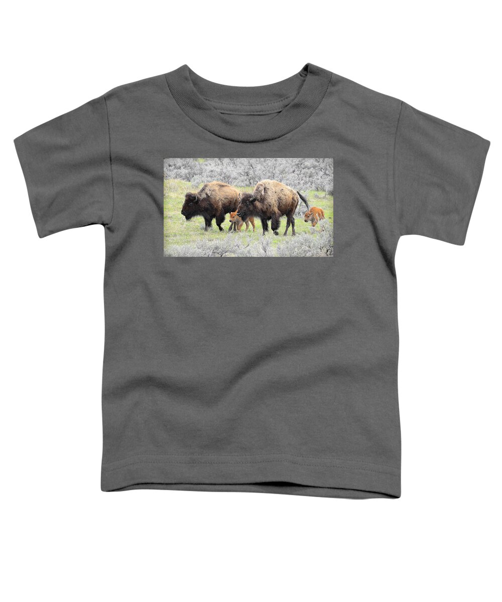 Buffalo Toddler T-Shirt featuring the photograph Life out West by Steve McKinzie