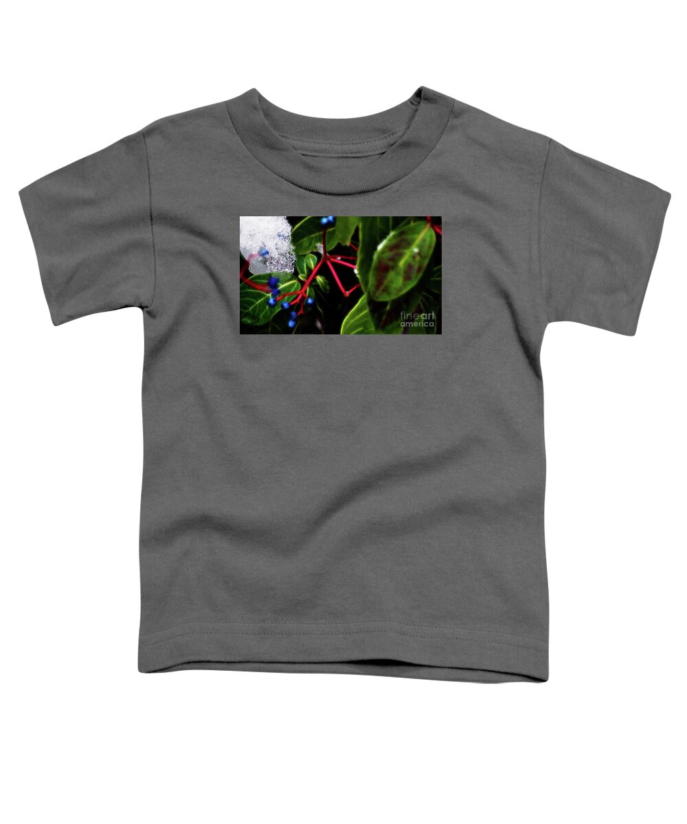 Ice Toddler T-Shirt featuring the photograph Light and Ice by Cameron Wood