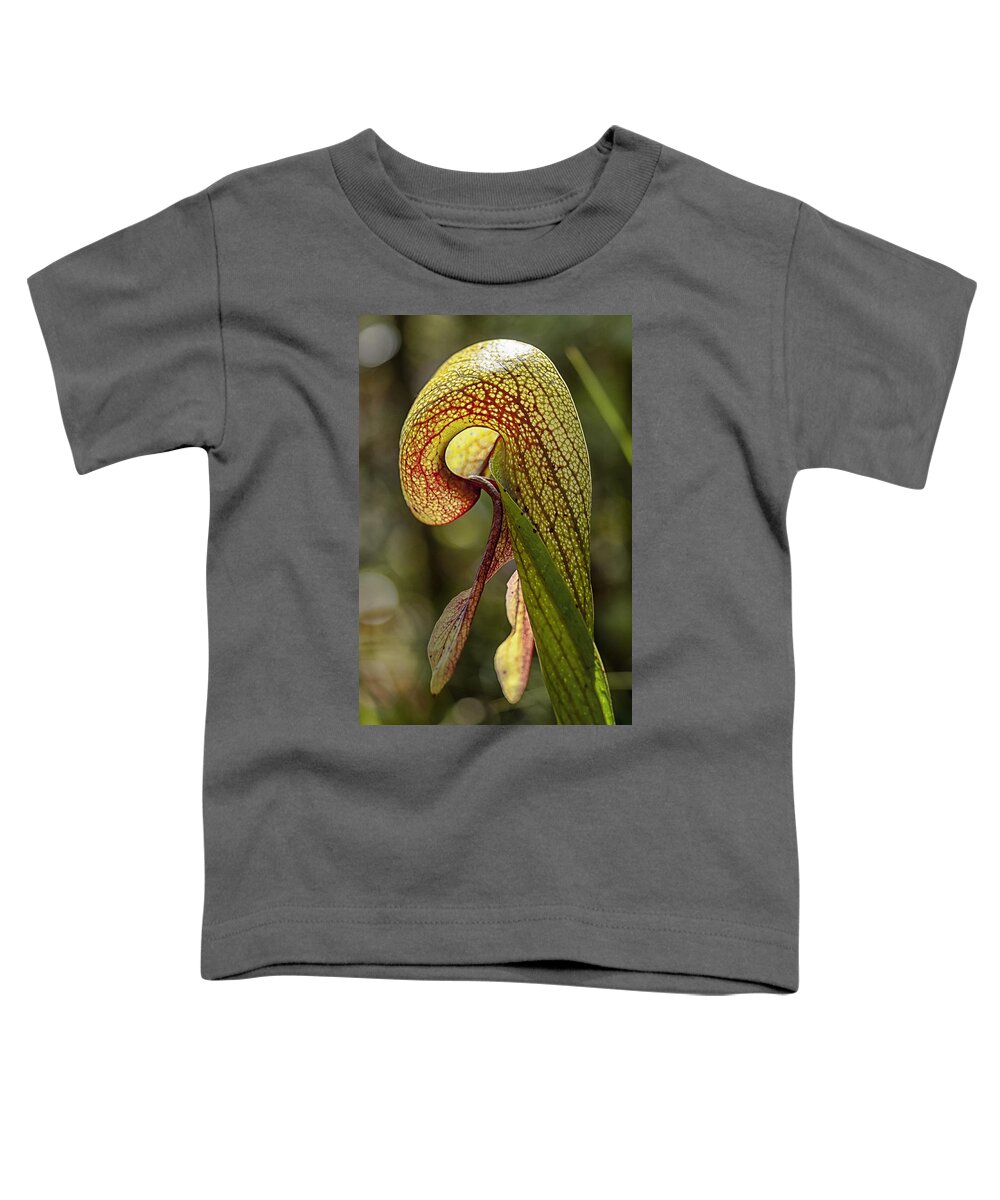 Betty Depee Toddler T-Shirt featuring the photograph Light Within by Betty Depee