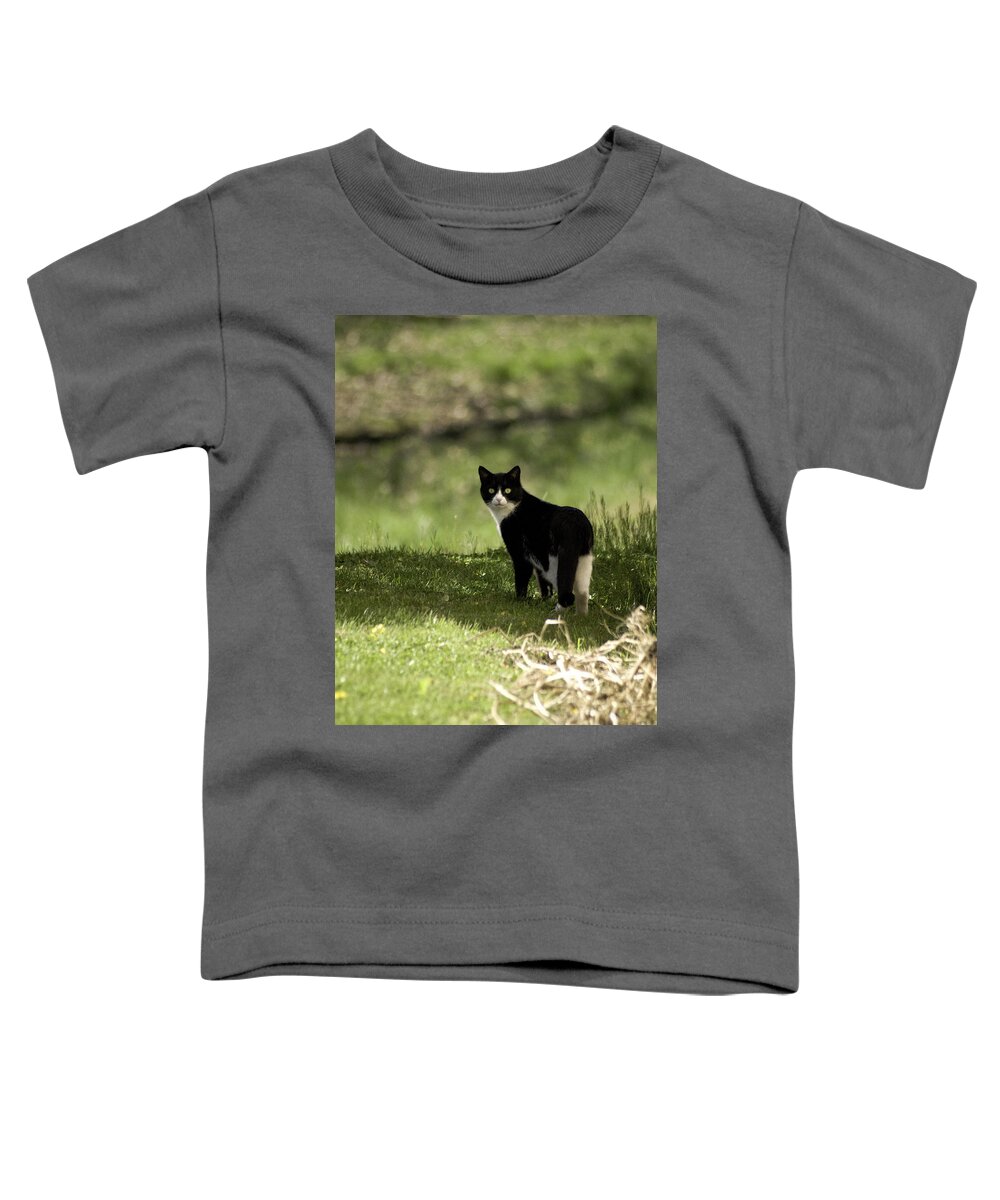 Cat Toddler T-Shirt featuring the photograph Lilly by Trish Tritz