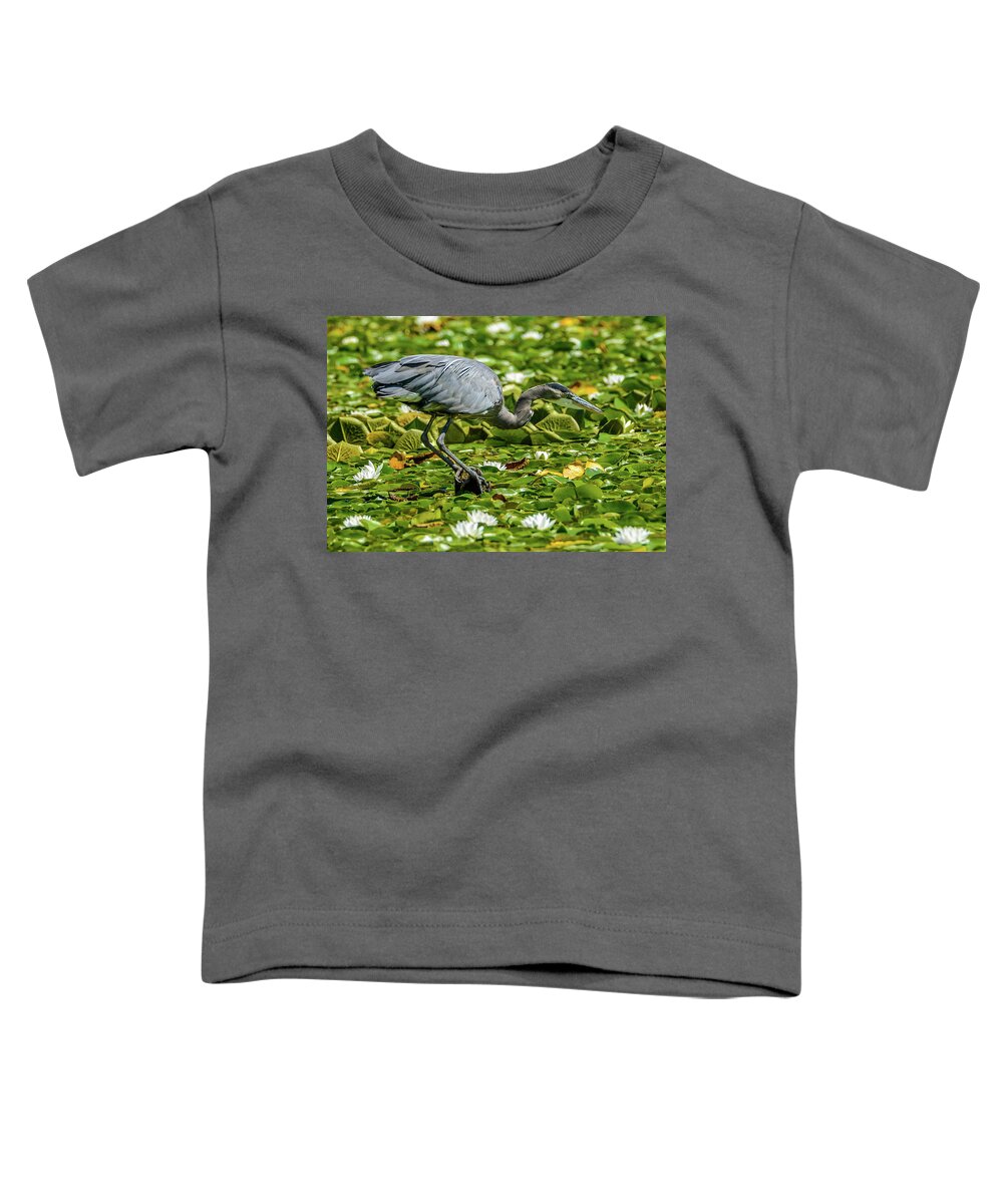 Blue Heron Toddler T-Shirt featuring the photograph Lily Heron by Jerry Cahill