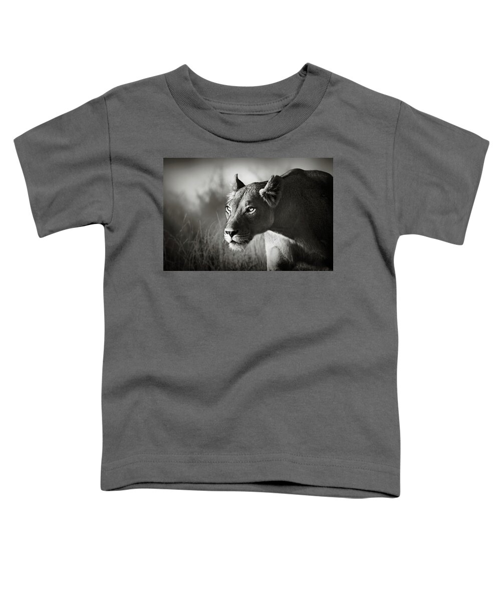 Lioness Toddler T-Shirt featuring the photograph Lioness stalking by Johan Swanepoel