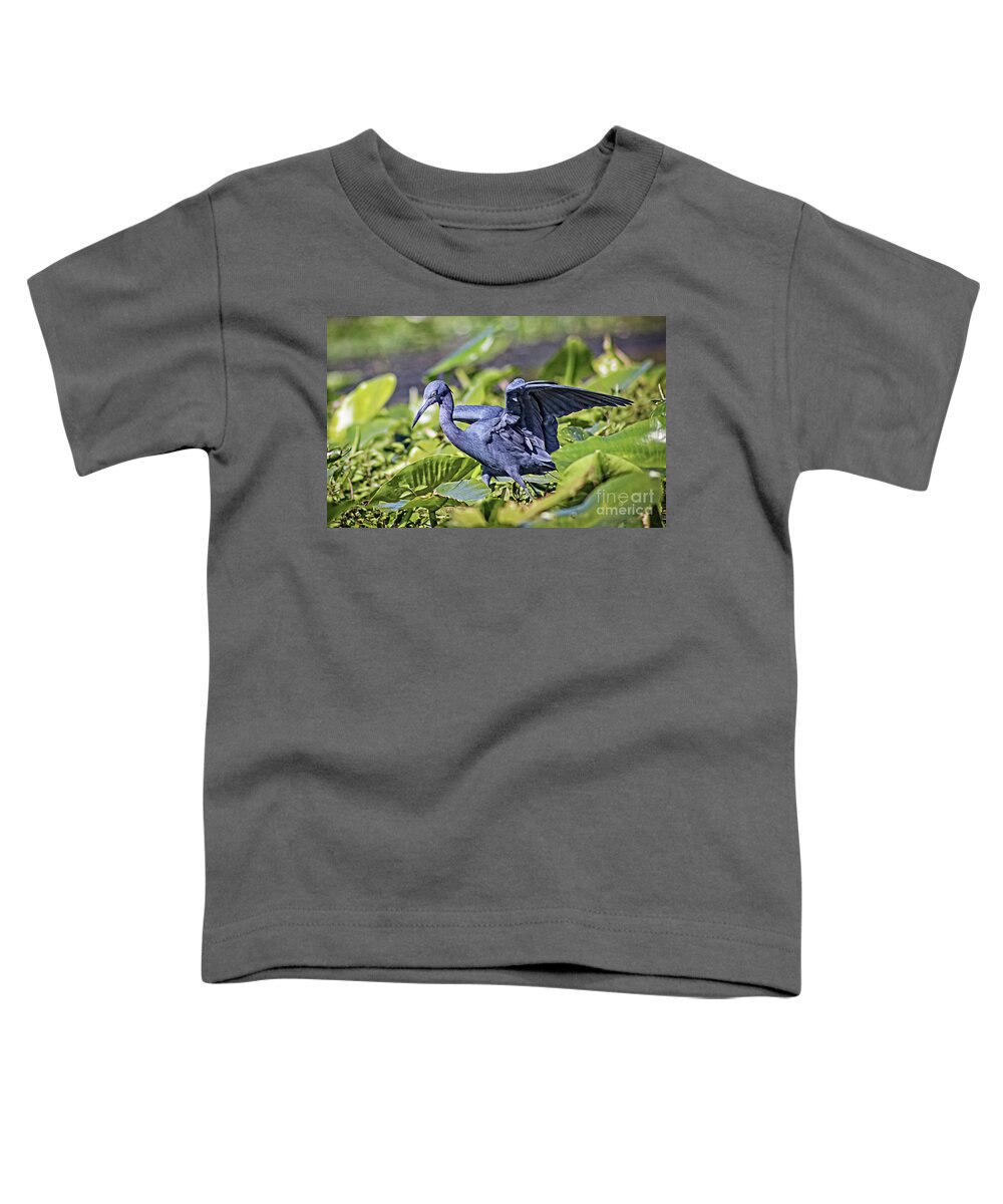 Nature Toddler T-Shirt featuring the photograph Little Blue Heron Hunting - Egretta Caerulea by DB Hayes