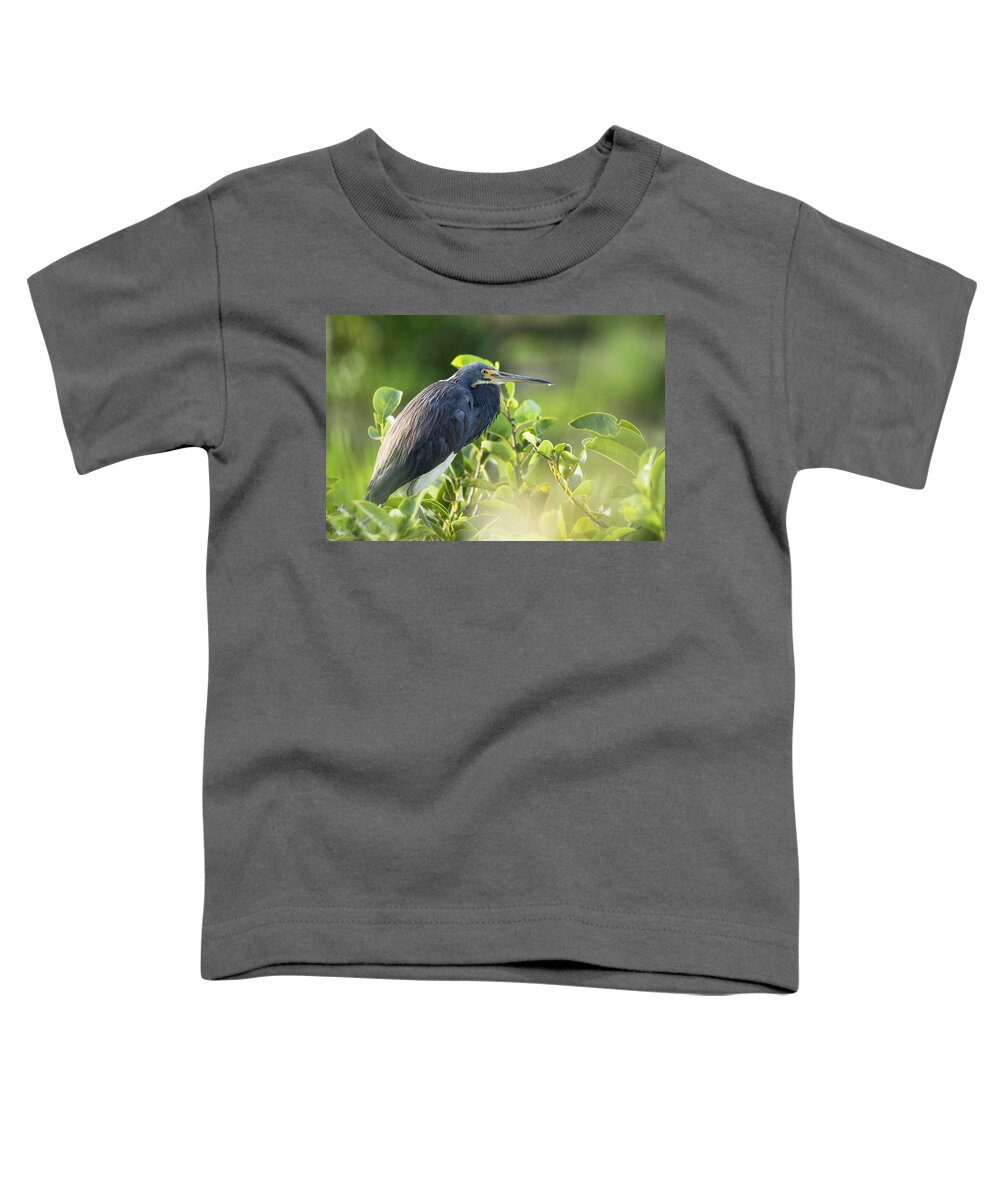 Tri-colored Heron Toddler T-Shirt featuring the photograph Tri-colored Heron by Saija Lehtonen