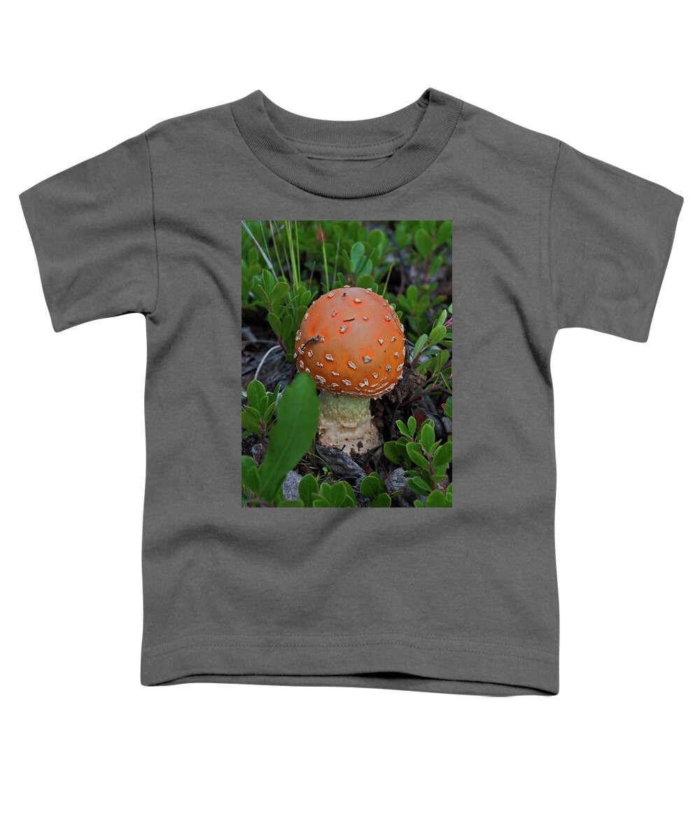 Mushroom Toddler T-Shirt featuring the photograph Little Mushroom by Cathy Mahnke