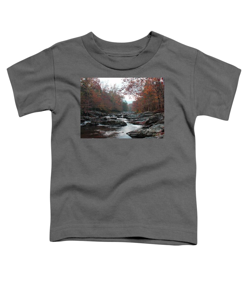 Little Pigeon River Toddler T-Shirt featuring the photograph Little Pigeon in Fall by Roger Potts