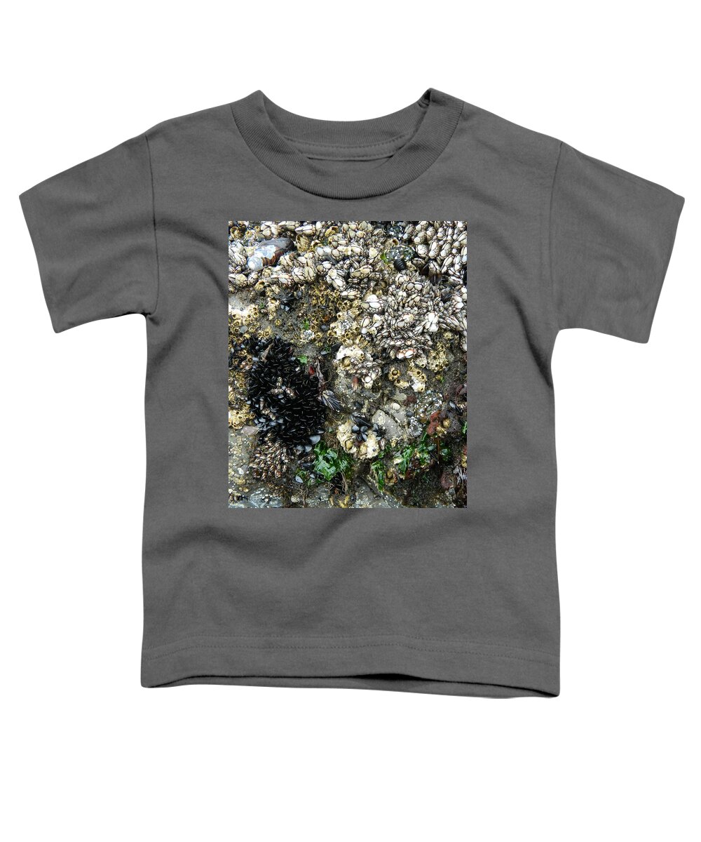 Oregon Toddler T-Shirt featuring the photograph Live Shells by Gallery Of Hope 