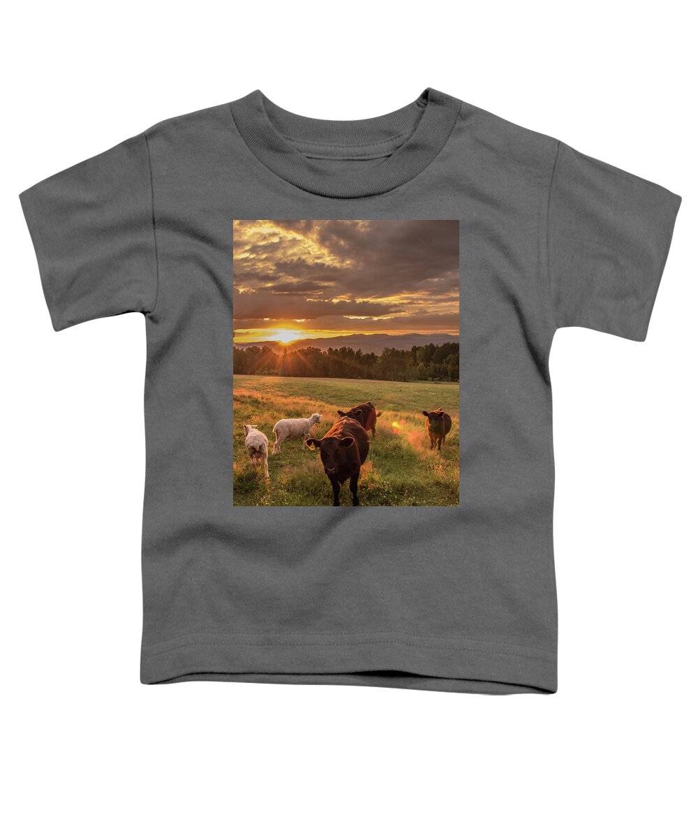 Cow Toddler T-Shirt featuring the photograph Livestock at Sunset by Tim Kirchoff