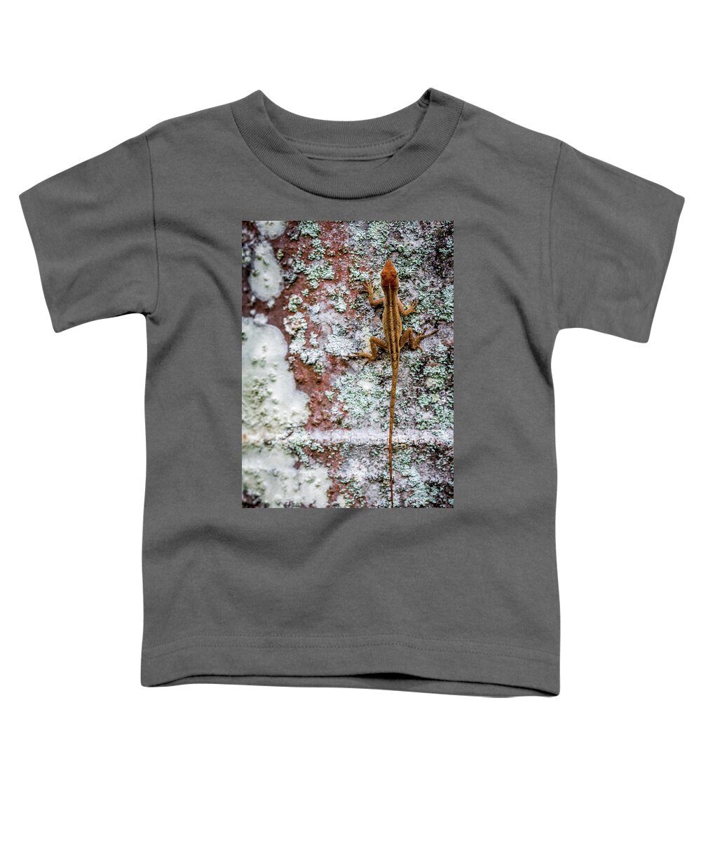 Brown Toddler T-Shirt featuring the photograph Lizard and Lichen on Brick by Susie Weaver