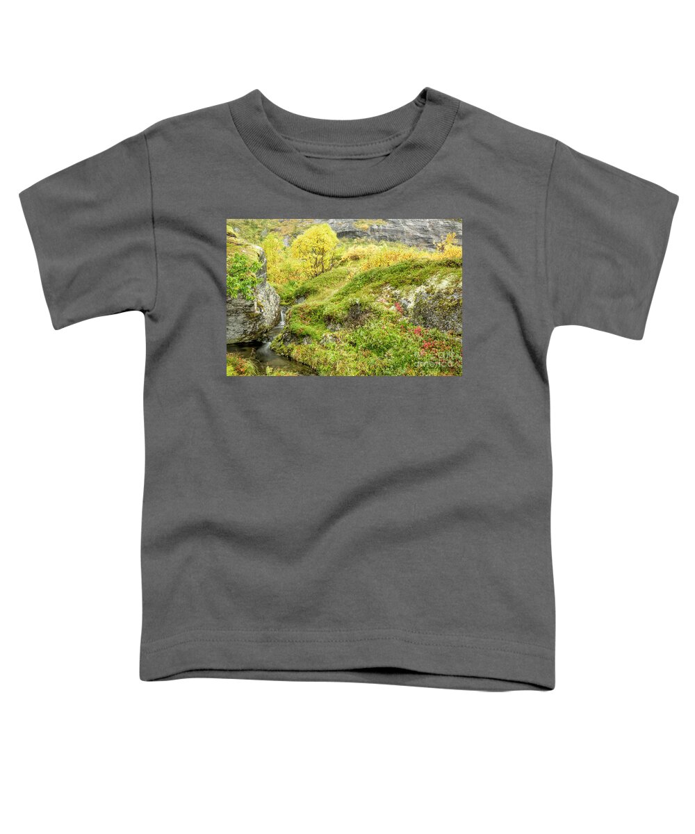 Norway Toddler T-Shirt featuring the photograph Lofoten In Autumn 34 by Timothy Hacker