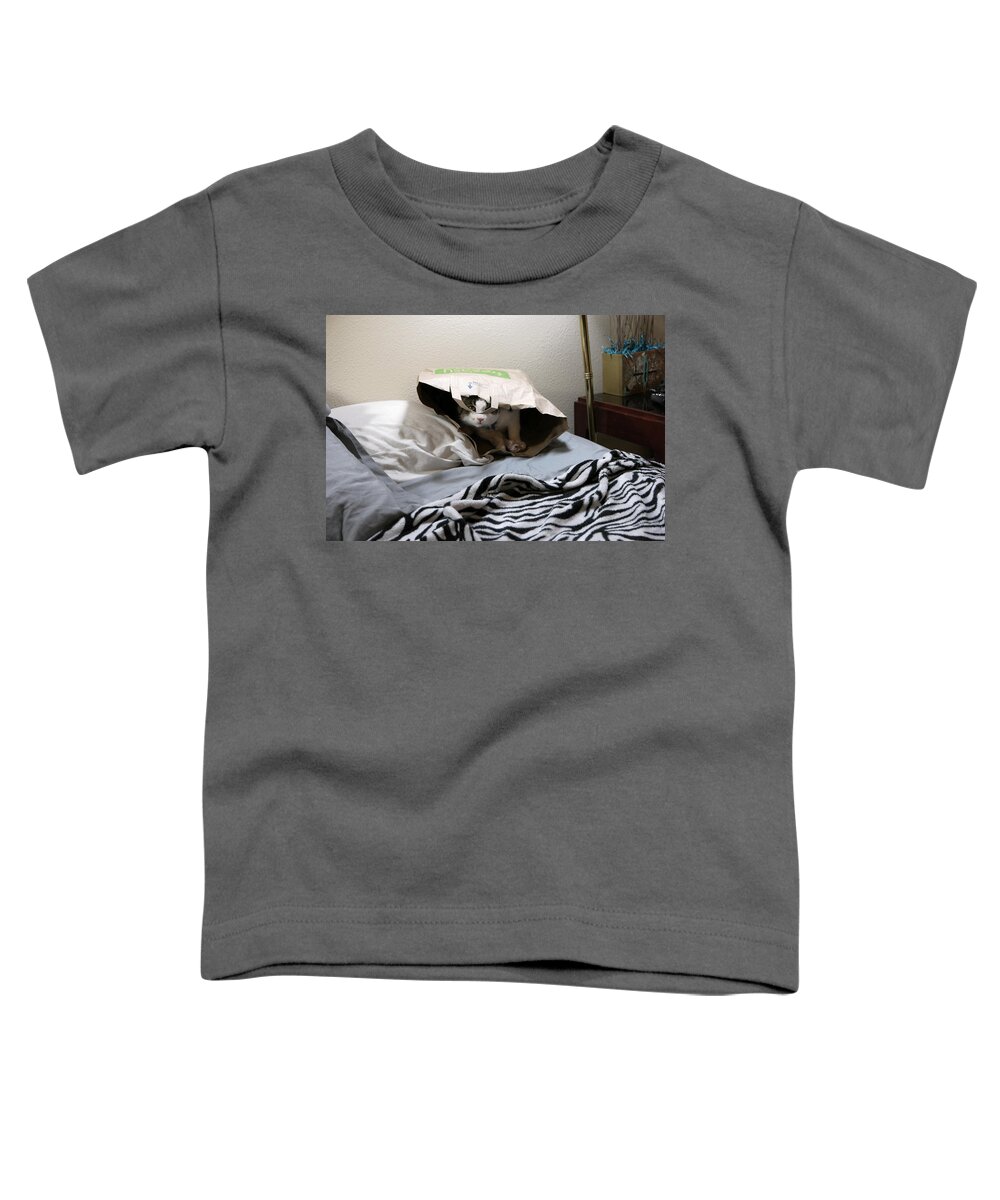  Toddler T-Shirt featuring the photograph Lois's Favorite Cat Picture In The Whole Wide World by Carl Wilkerson