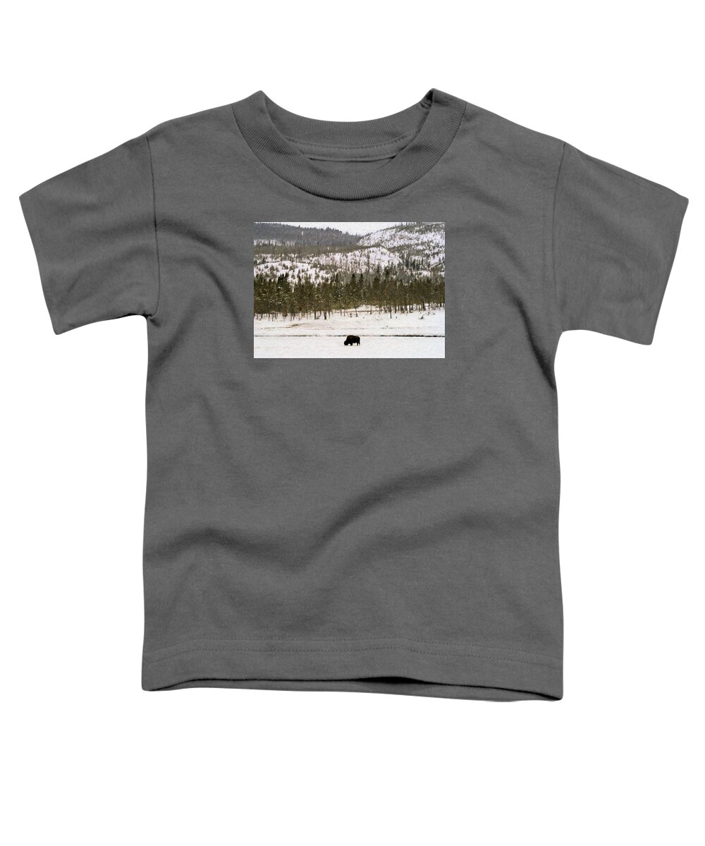 Yellowstone Toddler T-Shirt featuring the photograph Lone Buffalo by Susan Rissi Tregoning