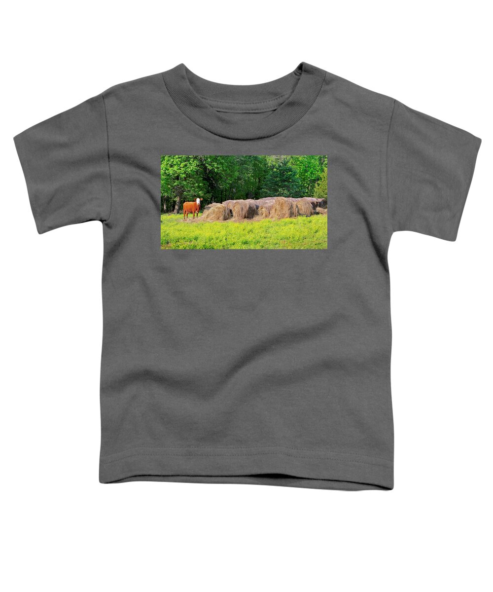 Cow Pictures Toddler T-Shirt featuring the photograph Lone Cow Guard, Smith Mountain Lake by The James Roney Collection