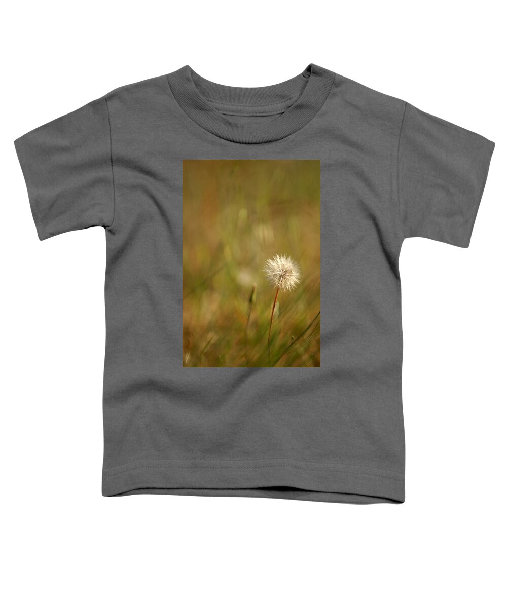 Dandelion Flower Wildflower Nature Botanical Toddler T-Shirt featuring the photograph Lone Dandelion 2 by Jill Reger
