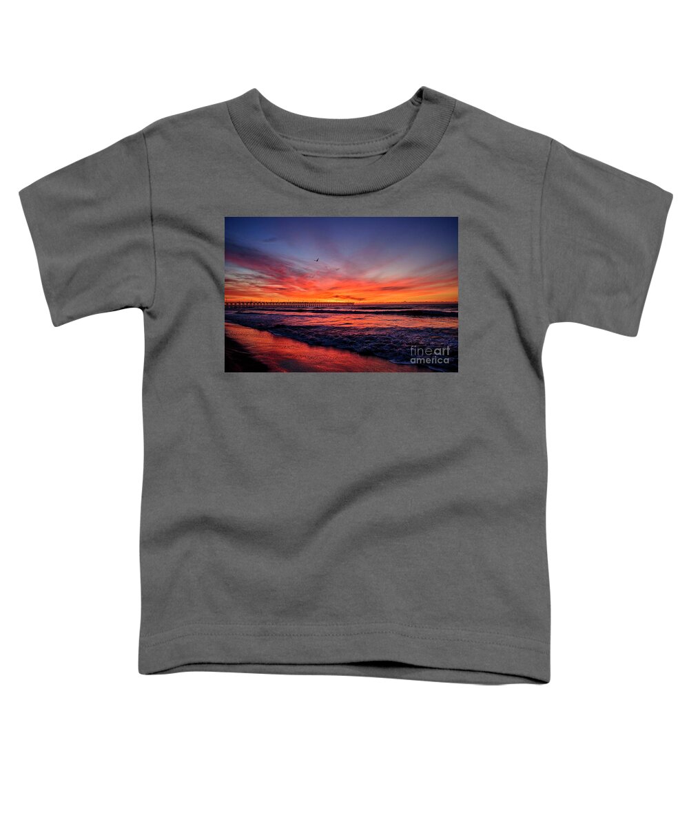 Topsail Island Toddler T-Shirt featuring the photograph Lone Gull by DJA Images