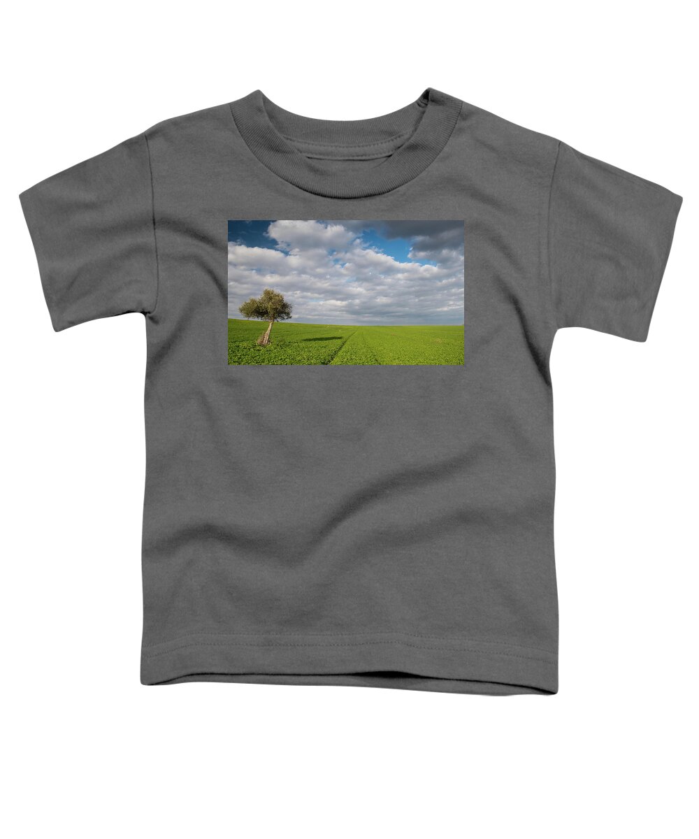 Olive Tree Toddler T-Shirt featuring the photograph Lonely Olive tree in a green field and moving clouds by Michalakis Ppalis