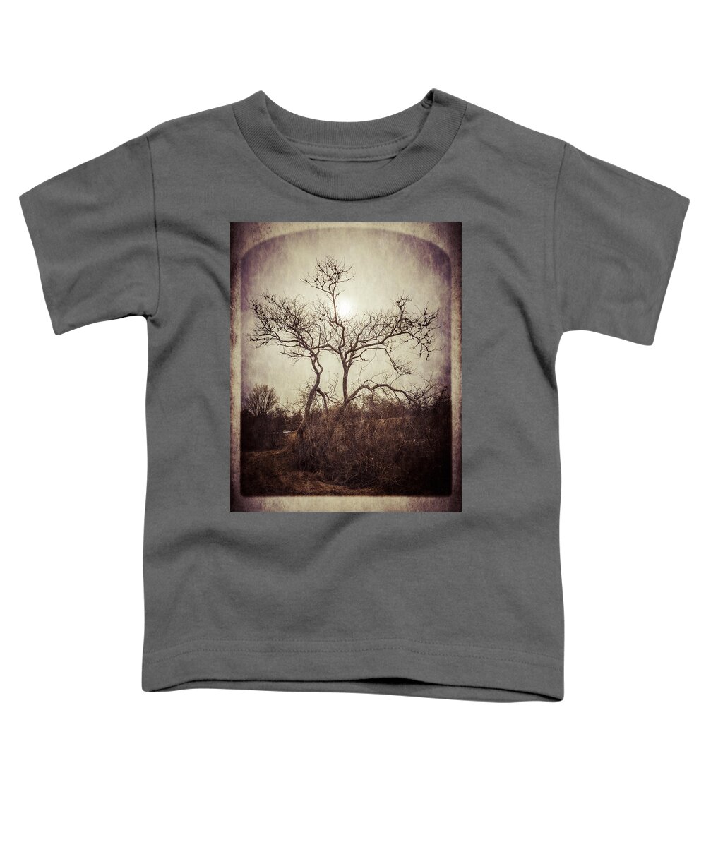 Albumen Toddler T-Shirt featuring the photograph Long Pasture Wildlife Perserve 2 by Frank Winters
