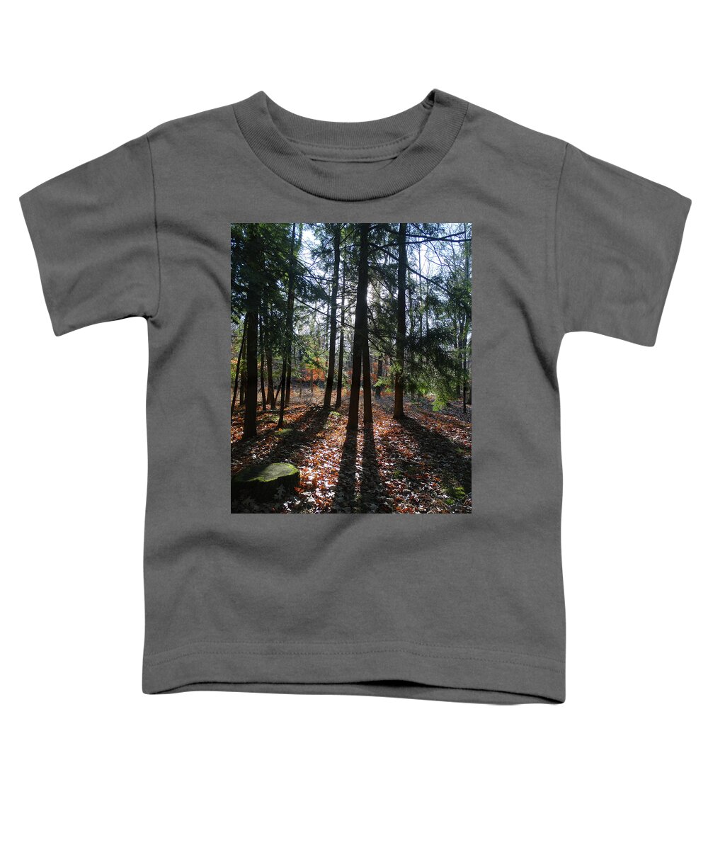 Peninsula State Park Toddler T-Shirt featuring the photograph Long Shadows in the Woods by David T Wilkinson