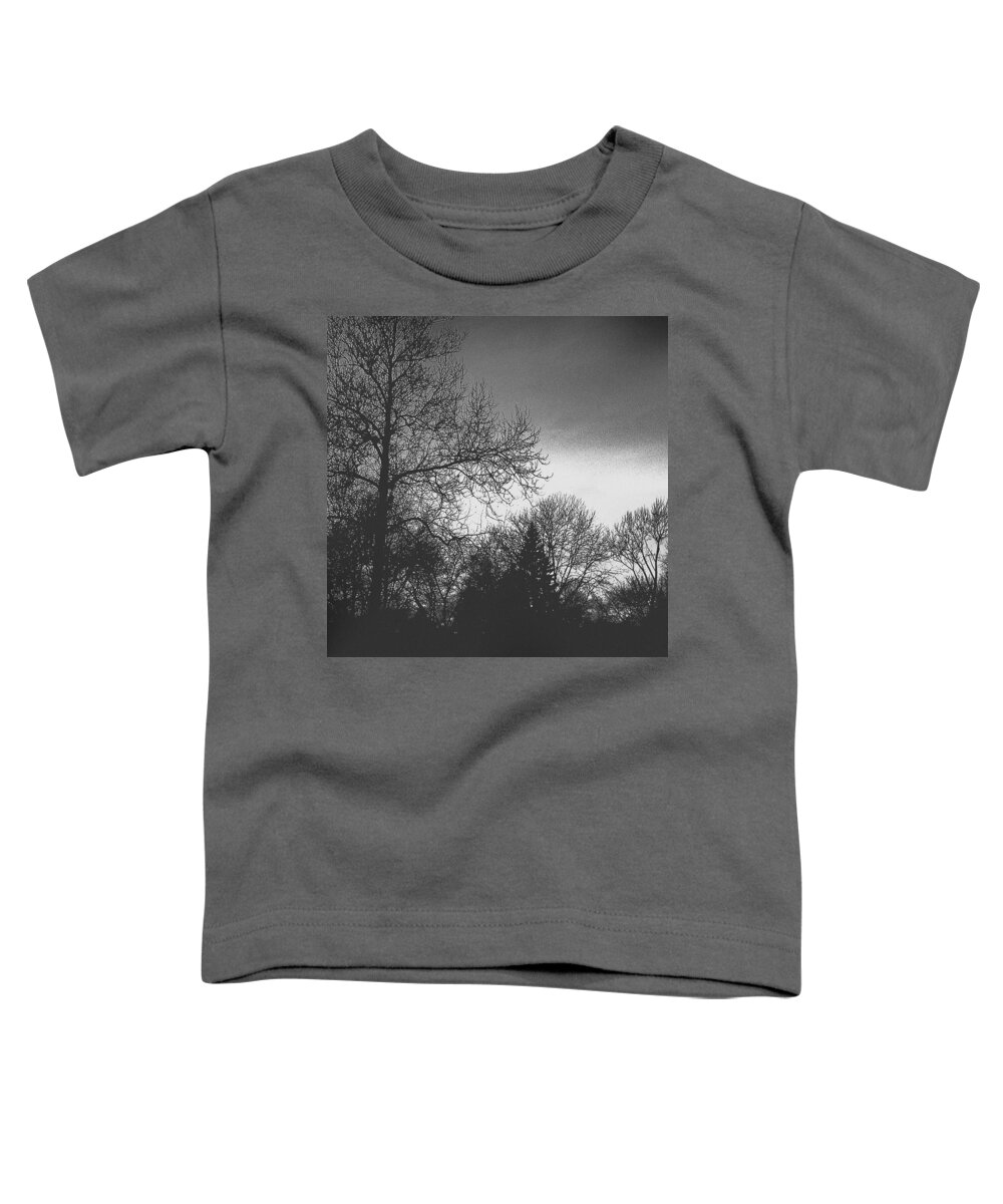 Frank J Casella Toddler T-Shirt featuring the photograph Long Winter by Frank J Casella