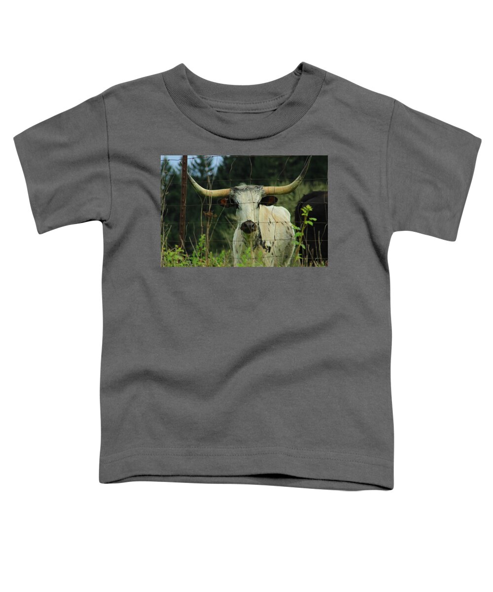 Longhorn Toddler T-Shirt featuring the photograph Longhorn Steer by Dr Janine Williams