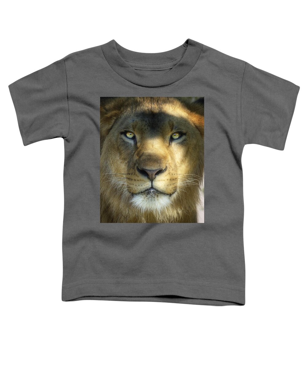 African Lion Toddler T-Shirt featuring the photograph Look into My Eyes by Saija Lehtonen