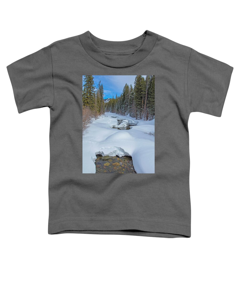 Mountain Toddler T-Shirt featuring the photograph Looking Down the Elk by Sean Allen