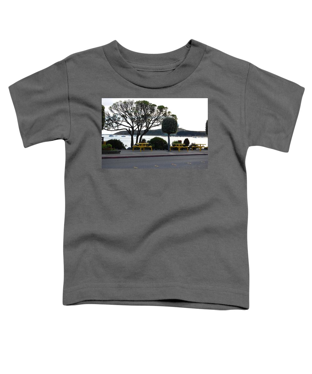 Pillar Point Harbor Toddler T-Shirt featuring the photograph Looking out on Pillar Point Harbor by Carolyn Donnell