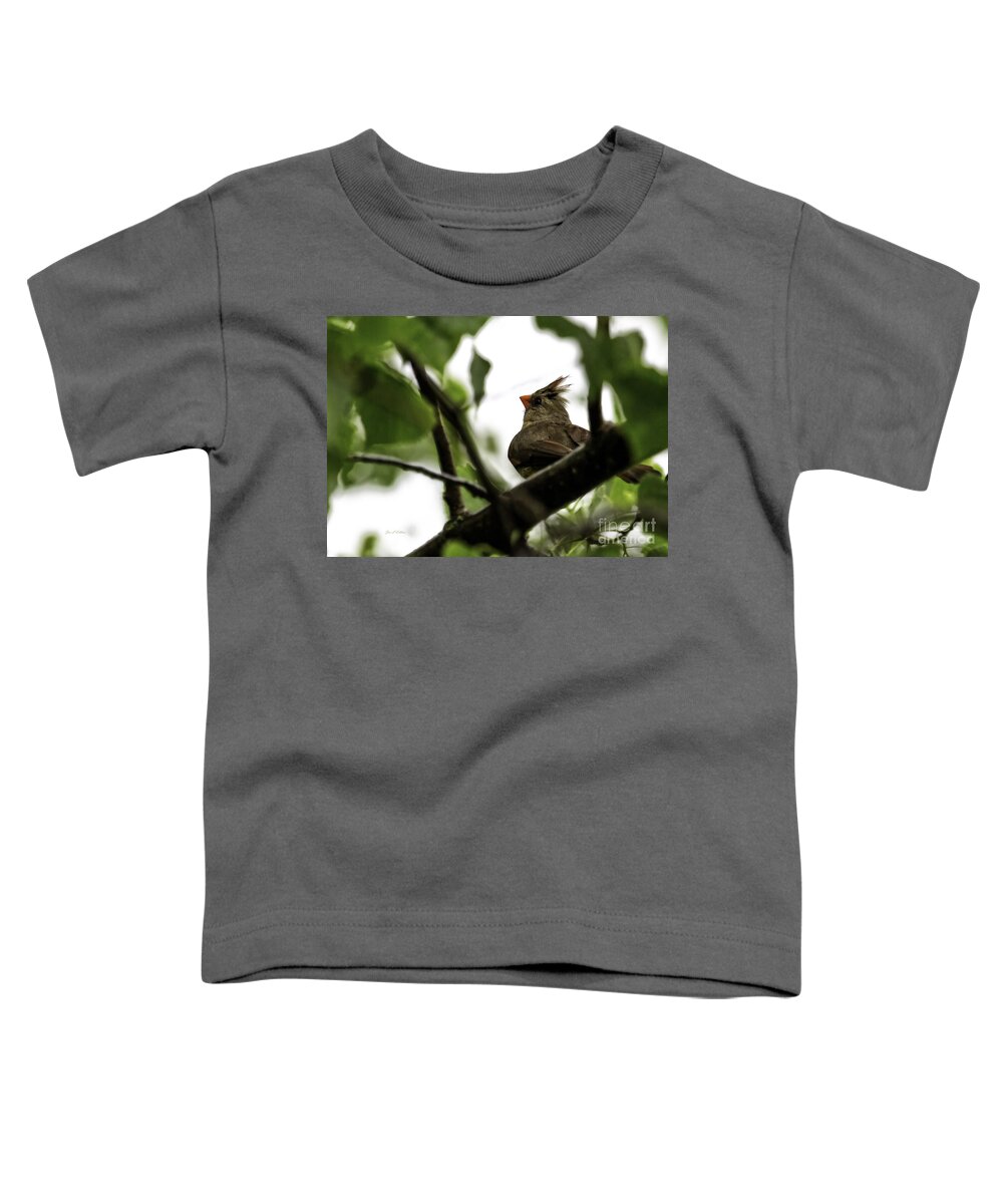 Jan Killian Toddler T-Shirt featuring the photograph Looking to the Skies by Jan Killian