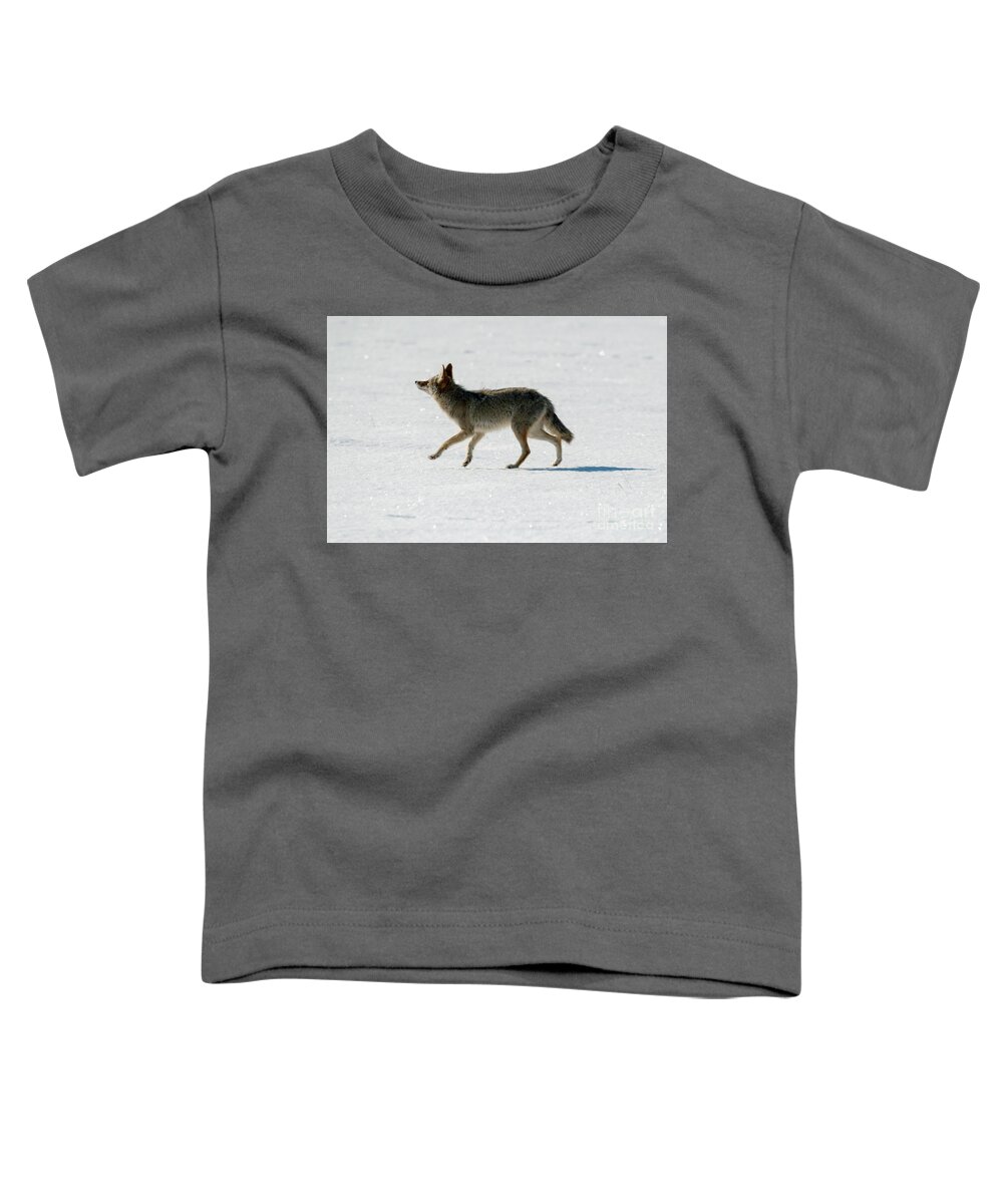 Coyote Toddler T-Shirt featuring the photograph Looking up by Michael Dawson