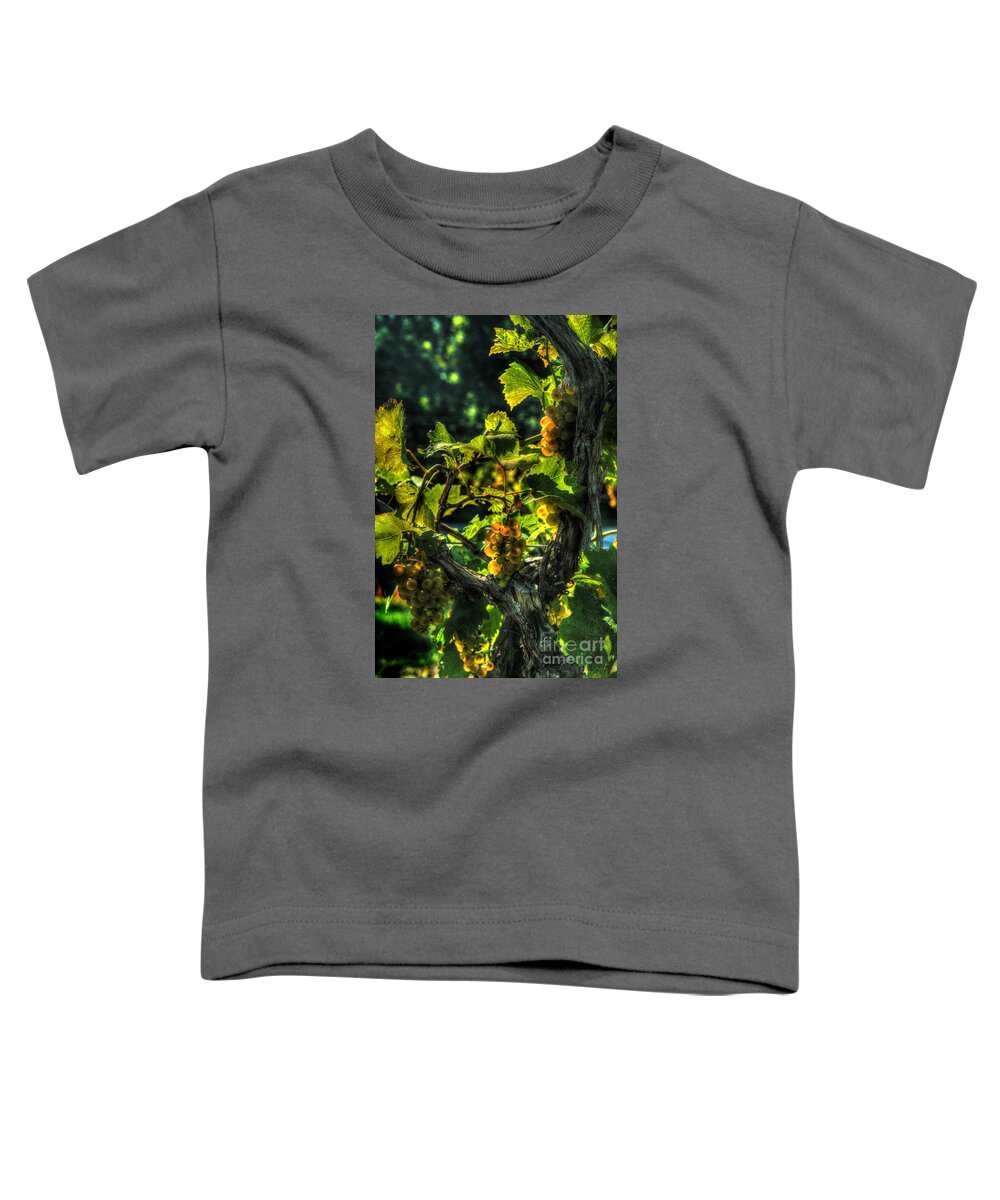 Lost Creek Chardonel Toddler T-Shirt featuring the digital art Lost Creek Chardonel by William Fields