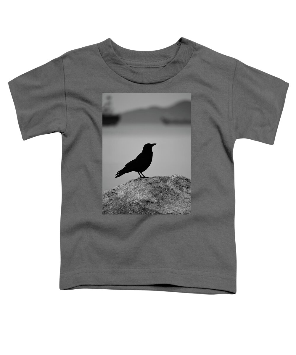 Birds Toddler T-Shirt featuring the photograph Lost wings by J C