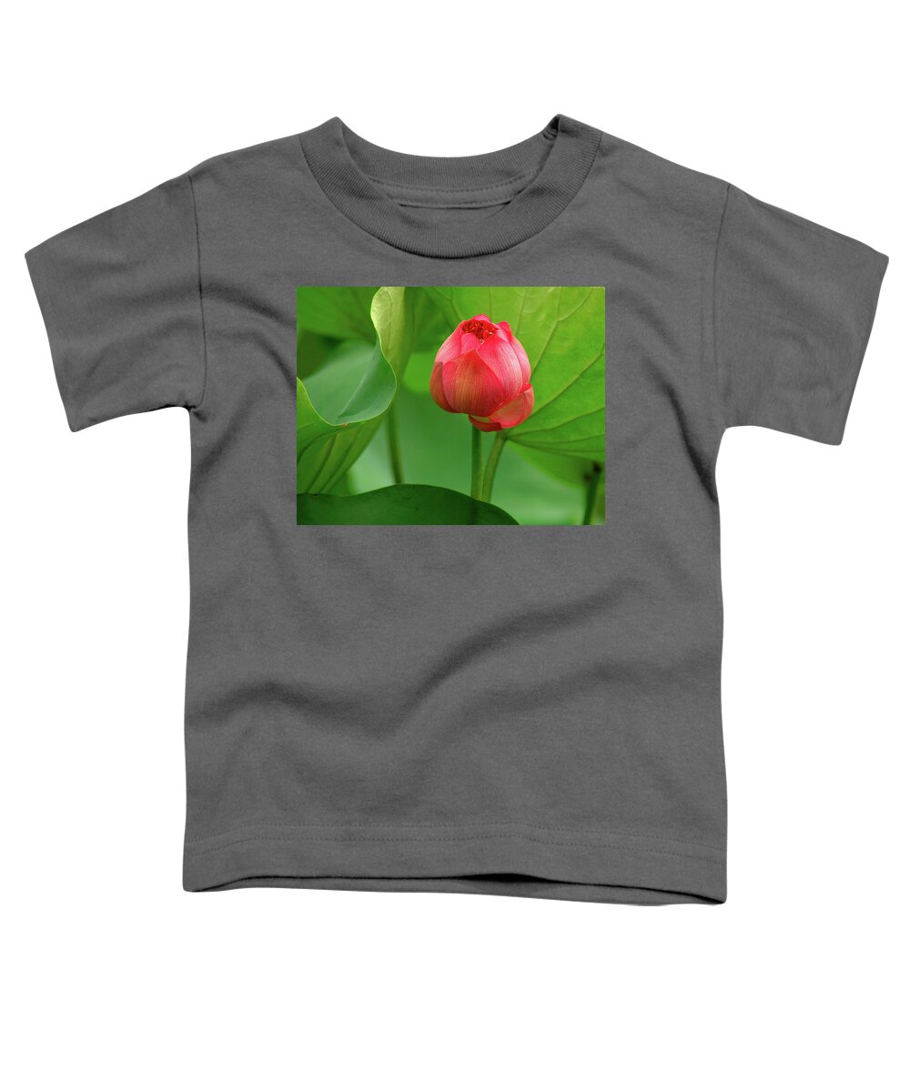Lotus Toddler T-Shirt featuring the photograph Lotus Flower 2 by Harry Spitz