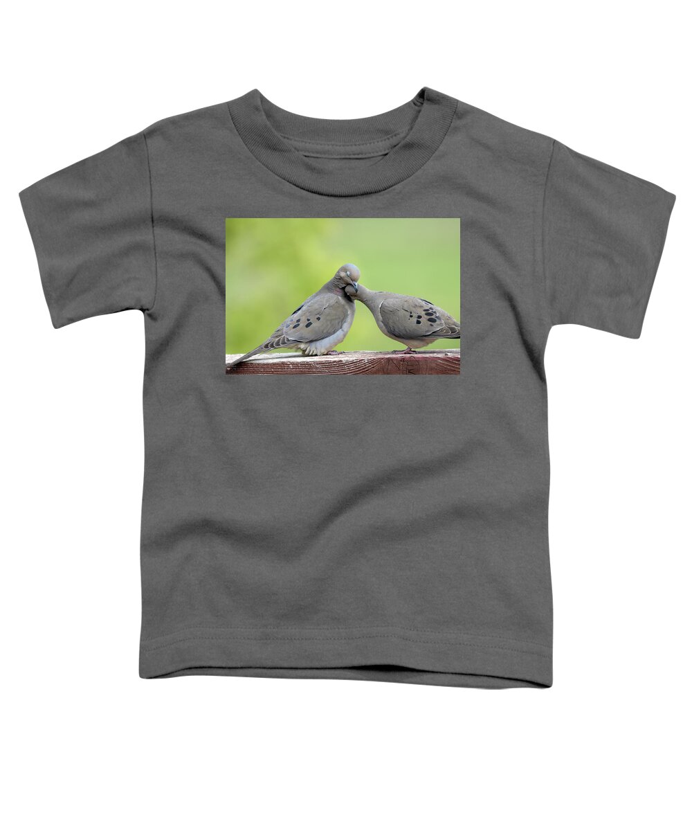 Mourning Doves Toddler T-Shirt featuring the photograph Lovey Doveys by Judi Dressler