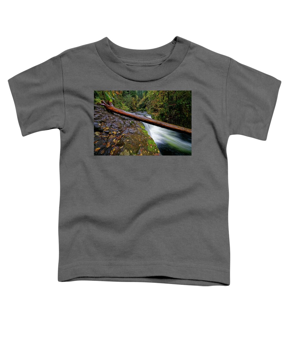 Punch Bowl Falls Toddler T-Shirt featuring the photograph Lower Punch bowl Falls by Jonathan Davison