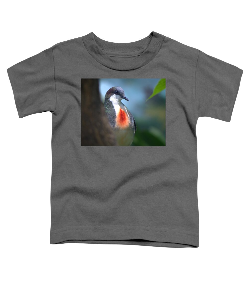 Bird Toddler T-Shirt featuring the photograph Luzon bleeding-heart Dove by Nathan Abbott