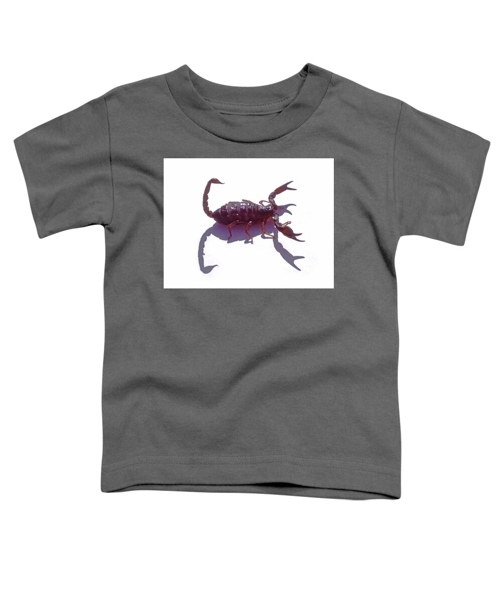Scorpion Toddler T-Shirt featuring the photograph MA-760 California Scorpion by Ed Cooper Photography