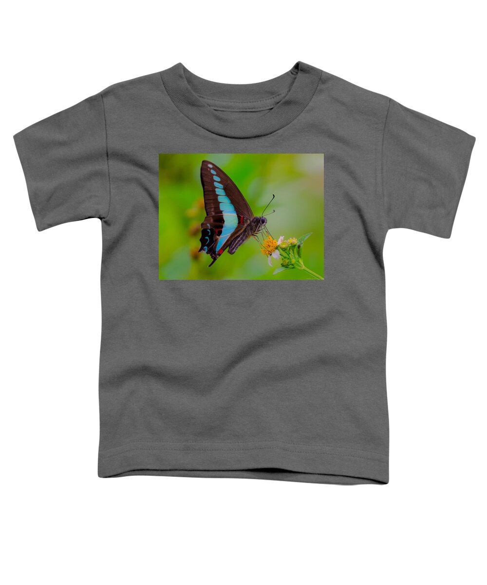 Blue Triangle Toddler T-Shirt featuring the photograph Macro Blue Triangle Butterfly on Okuma by Jeff at JSJ Photography