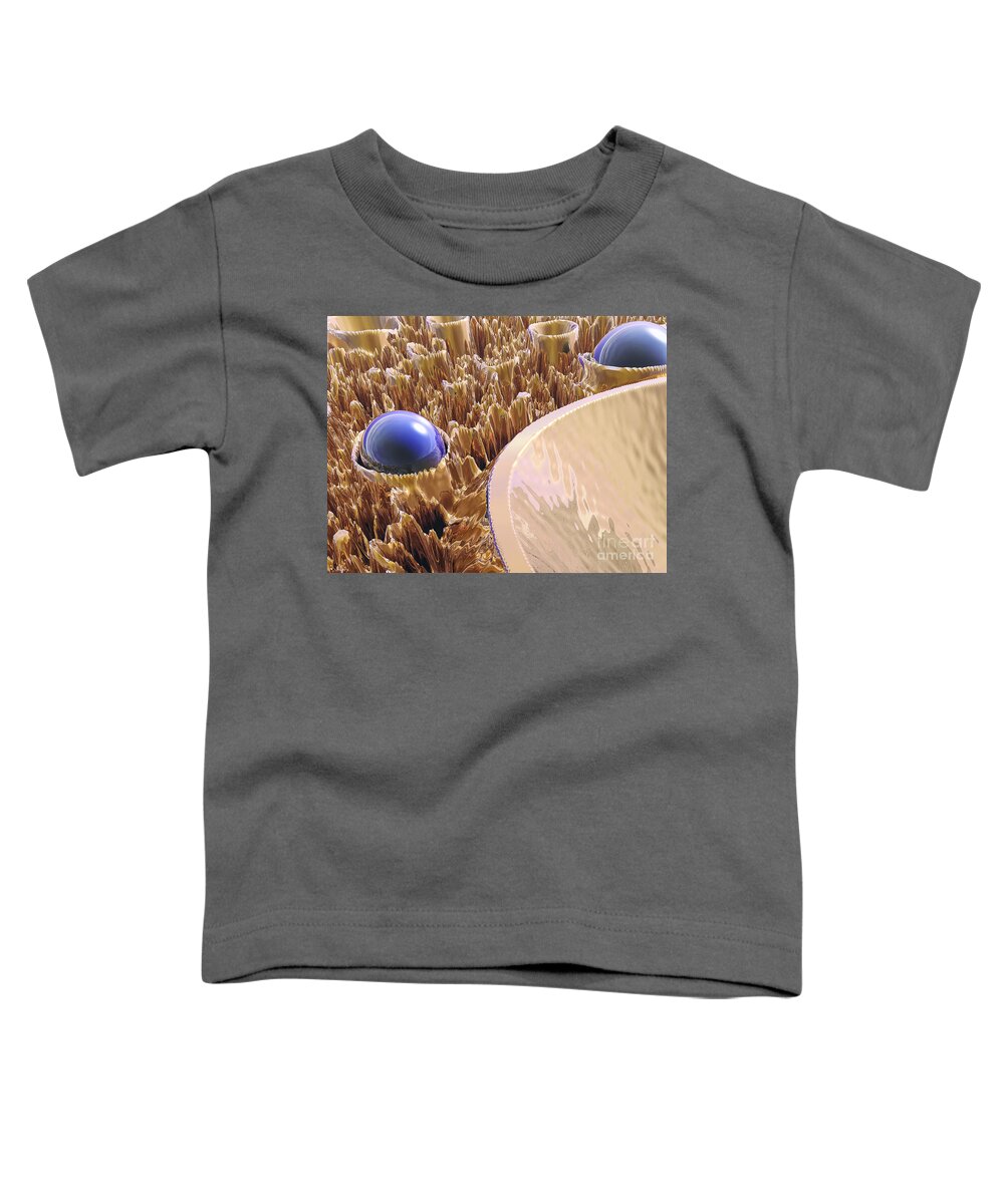 Spheres Toddler T-Shirt featuring the digital art Macro Fractal With Blue Spheres by Phil Perkins