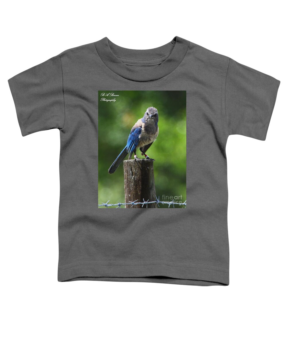 Florida Scrub Jay Toddler T-Shirt featuring the photograph Mad Bird by Barbara Bowen