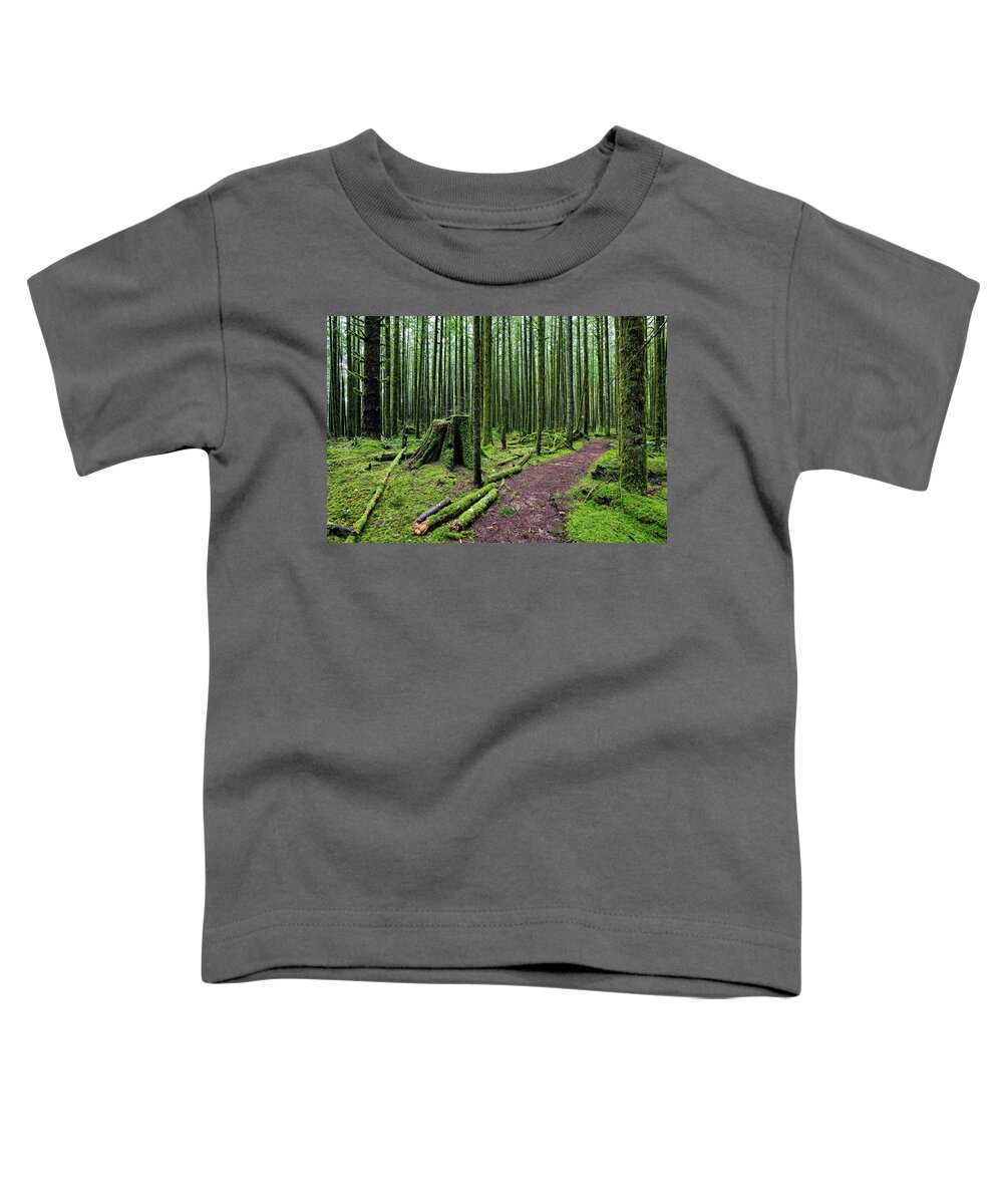 Alex Lyubar Toddler T-Shirt featuring the photograph Magic forest by Alex Lyubar