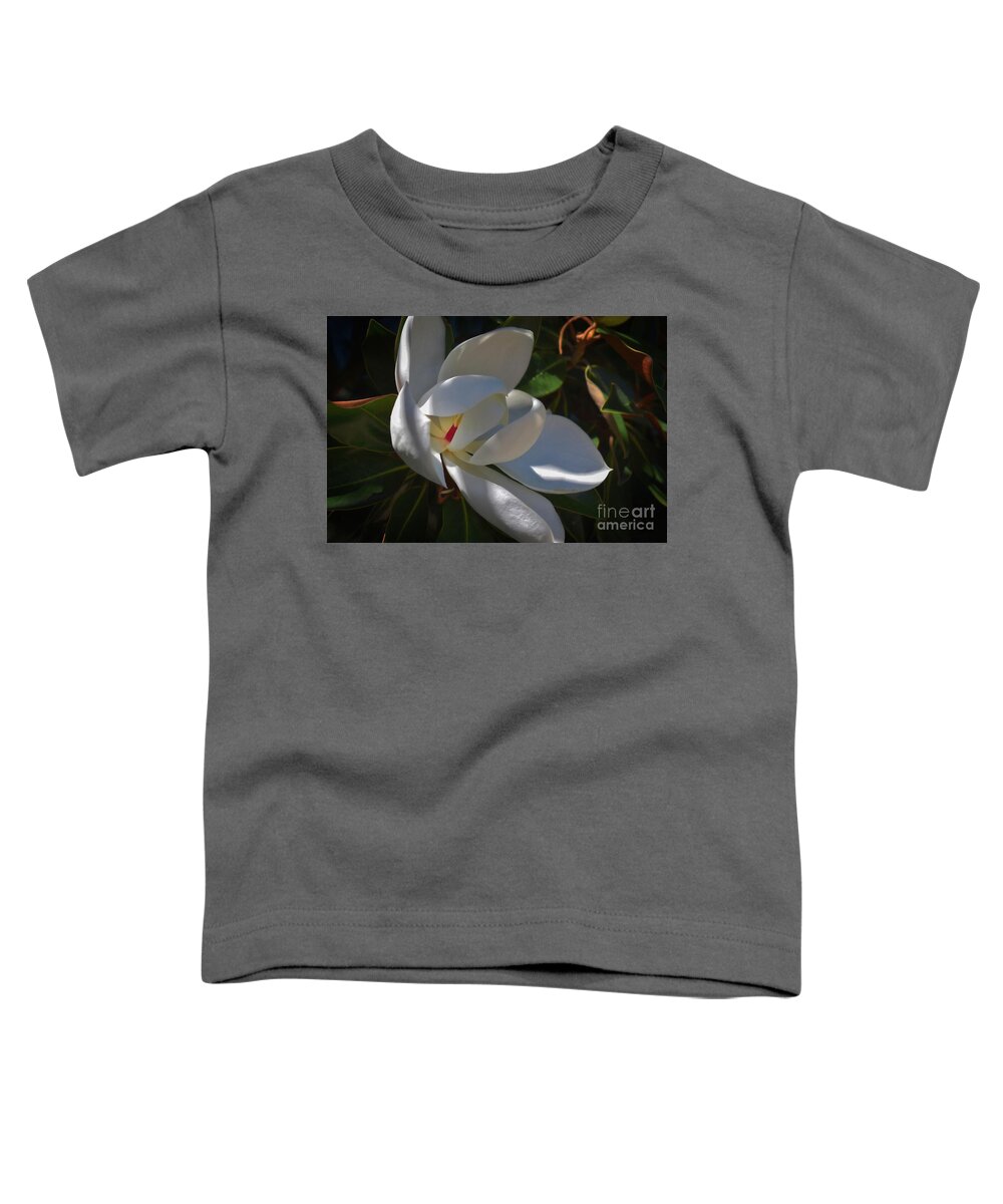 Pictures Of Flowers Toddler T-Shirt featuring the photograph Magnolia One by Skip Willits
