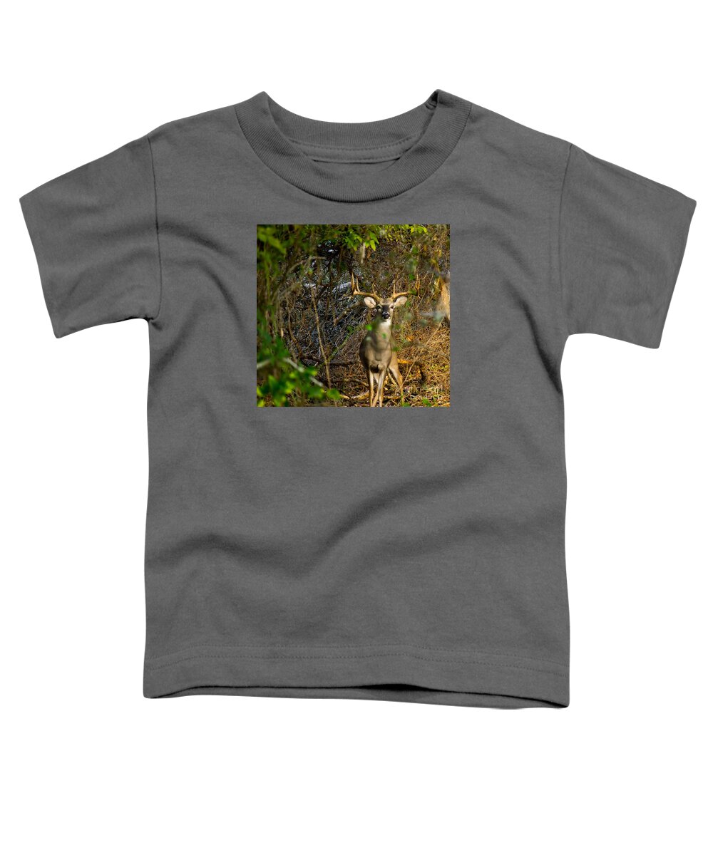 Michael Tidwell Photography Toddler T-Shirt featuring the photograph Majestic Whitetail by Michael Tidwell