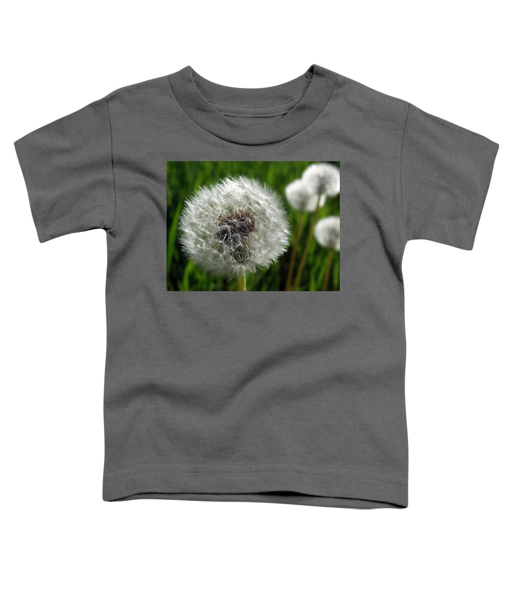Dandelion Toddler T-Shirt featuring the photograph Make-a-wish Dandelion by David T Wilkinson