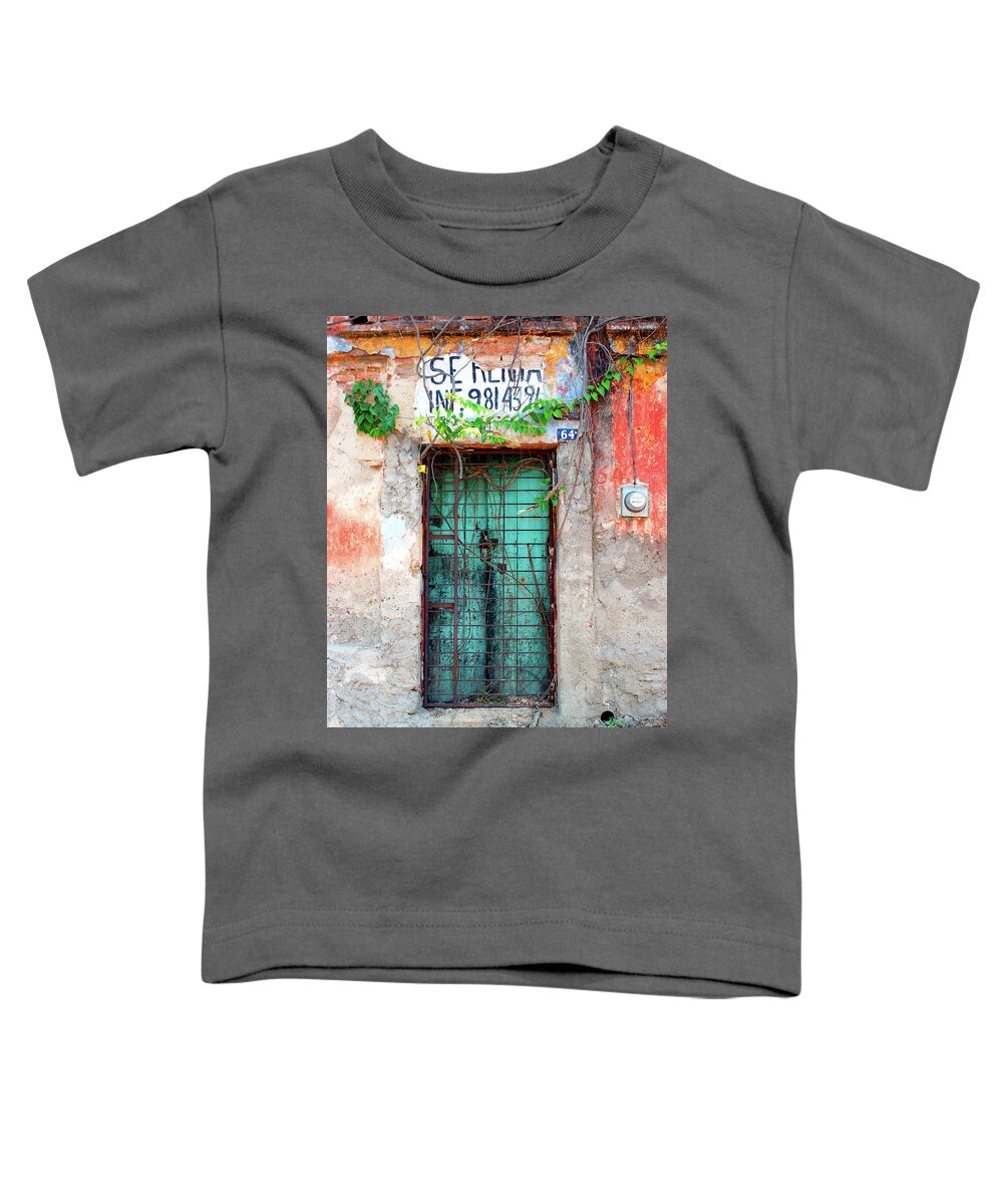 Panoramic Toddler T-Shirt featuring the photograph Managed by Tim Dussault