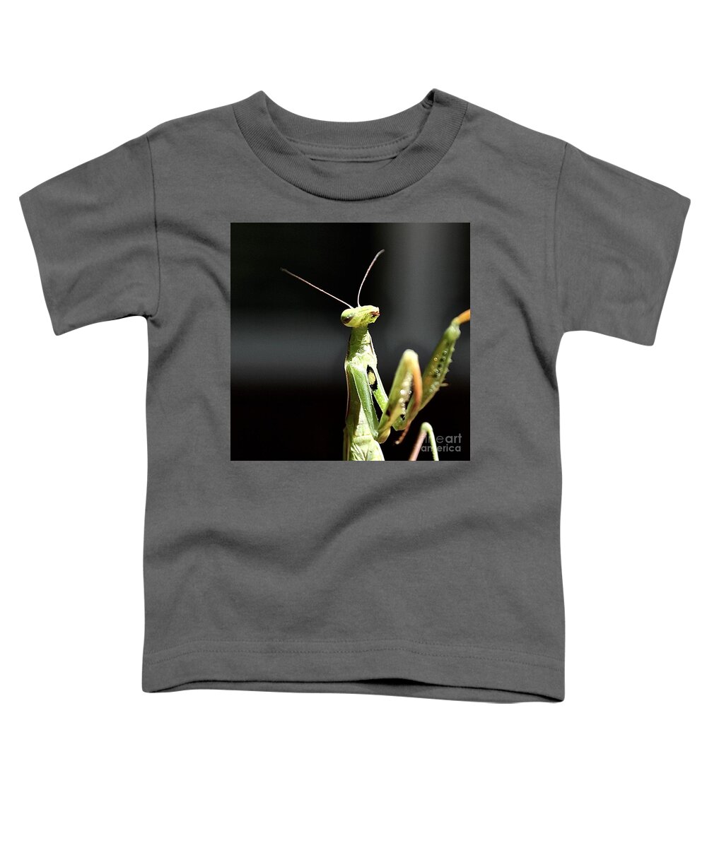 Praying Mantes Toddler T-Shirt featuring the photograph Mantises by Elisabeth Derichs