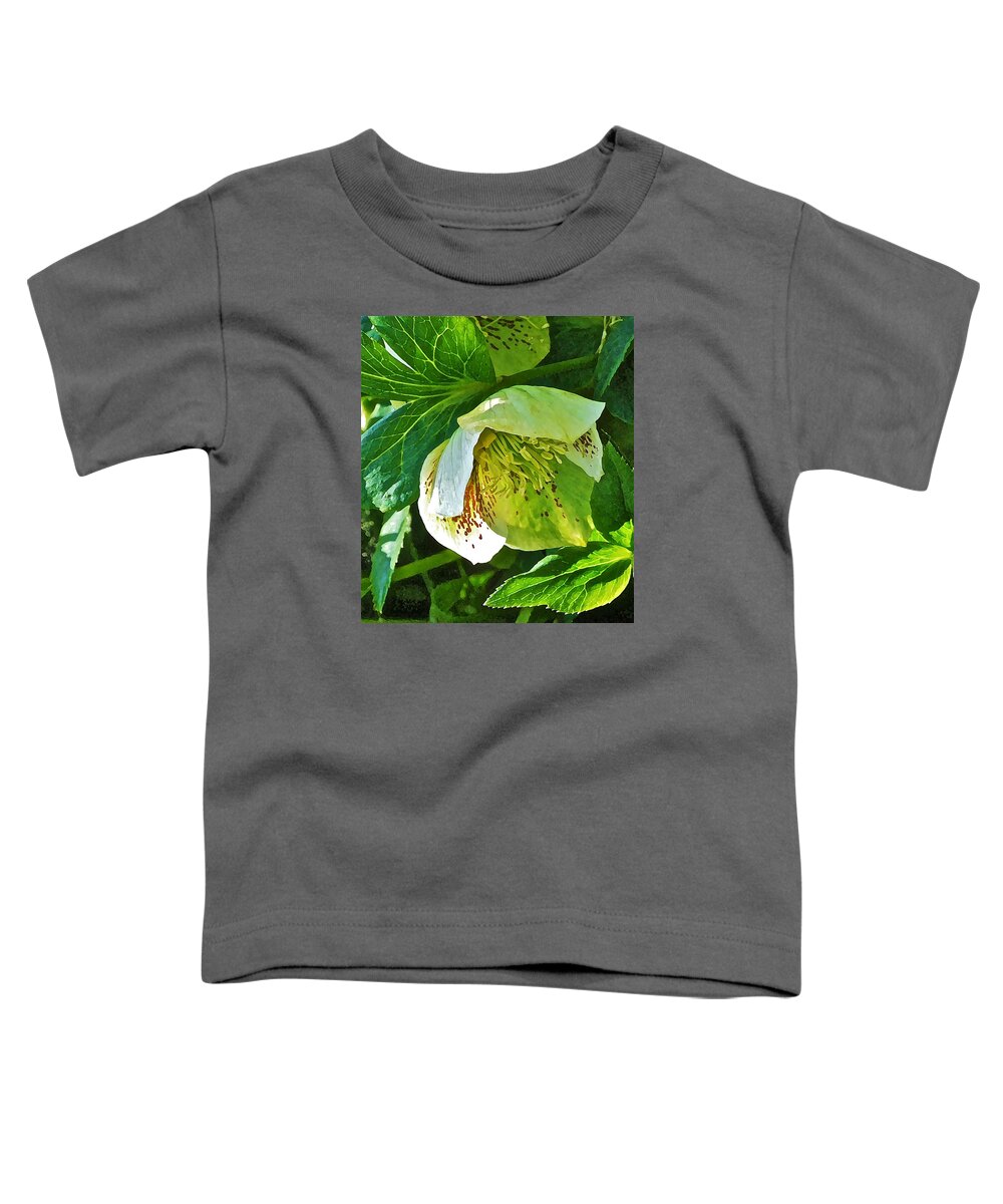 Hellebore Toddler T-Shirt featuring the photograph May Lenten Rose by Janis Senungetuk