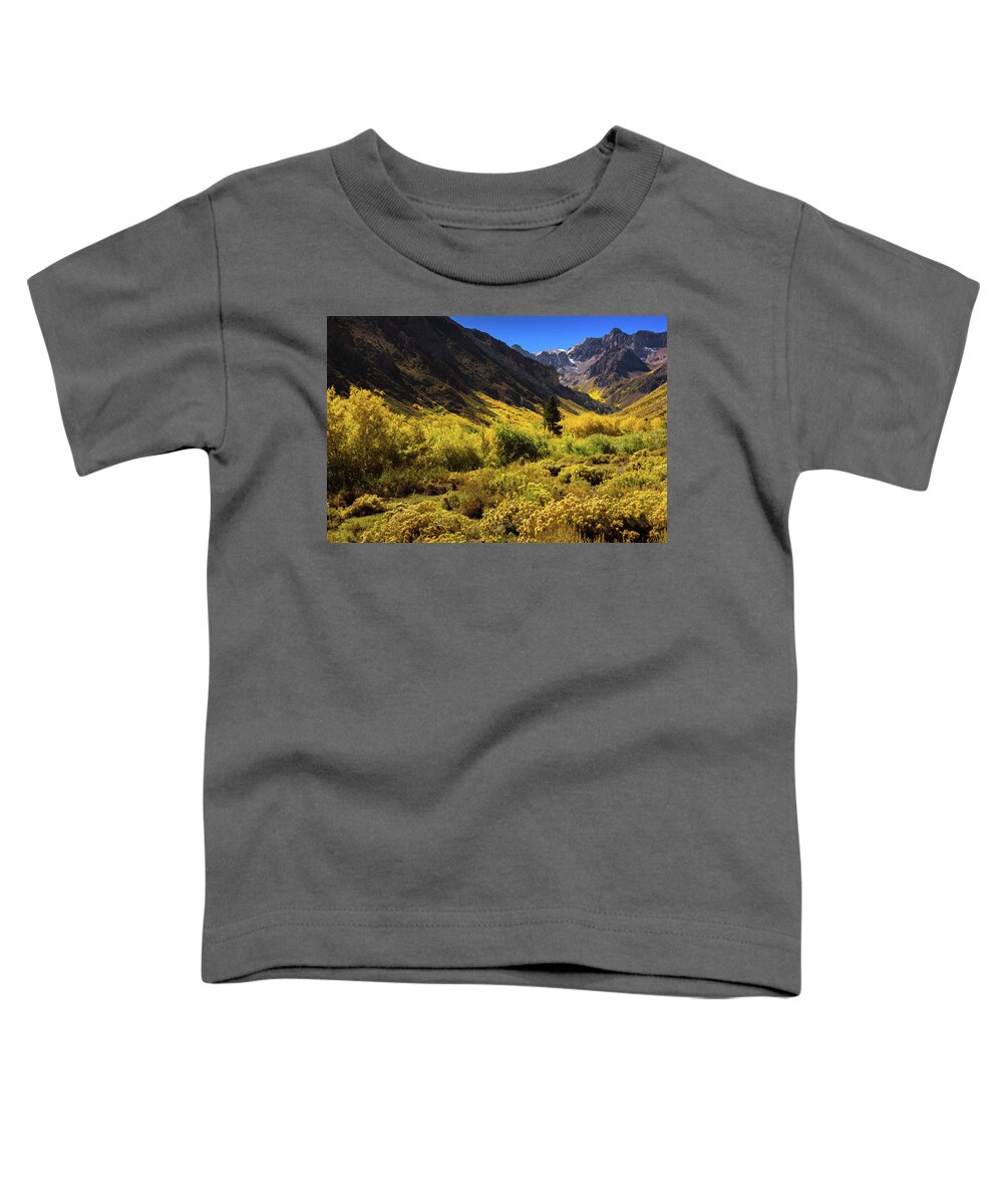 Af Zoom 24-70mm F/2.8g Toddler T-Shirt featuring the photograph McGee Creek Alive with Color by John Hight