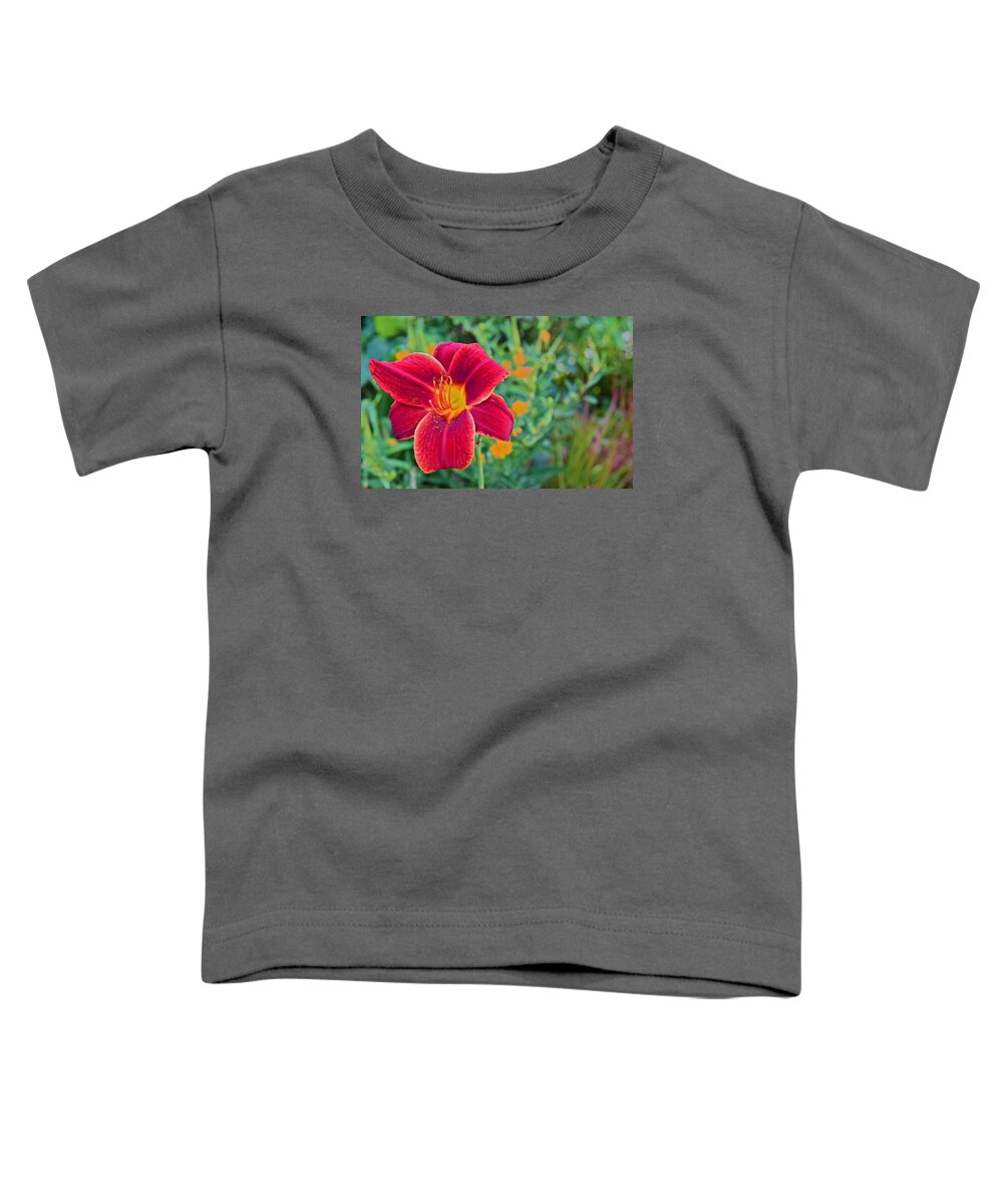 Daylily Toddler T-Shirt featuring the photograph Mid August Garden Blazing Daylily 1 by Janis Senungetuk